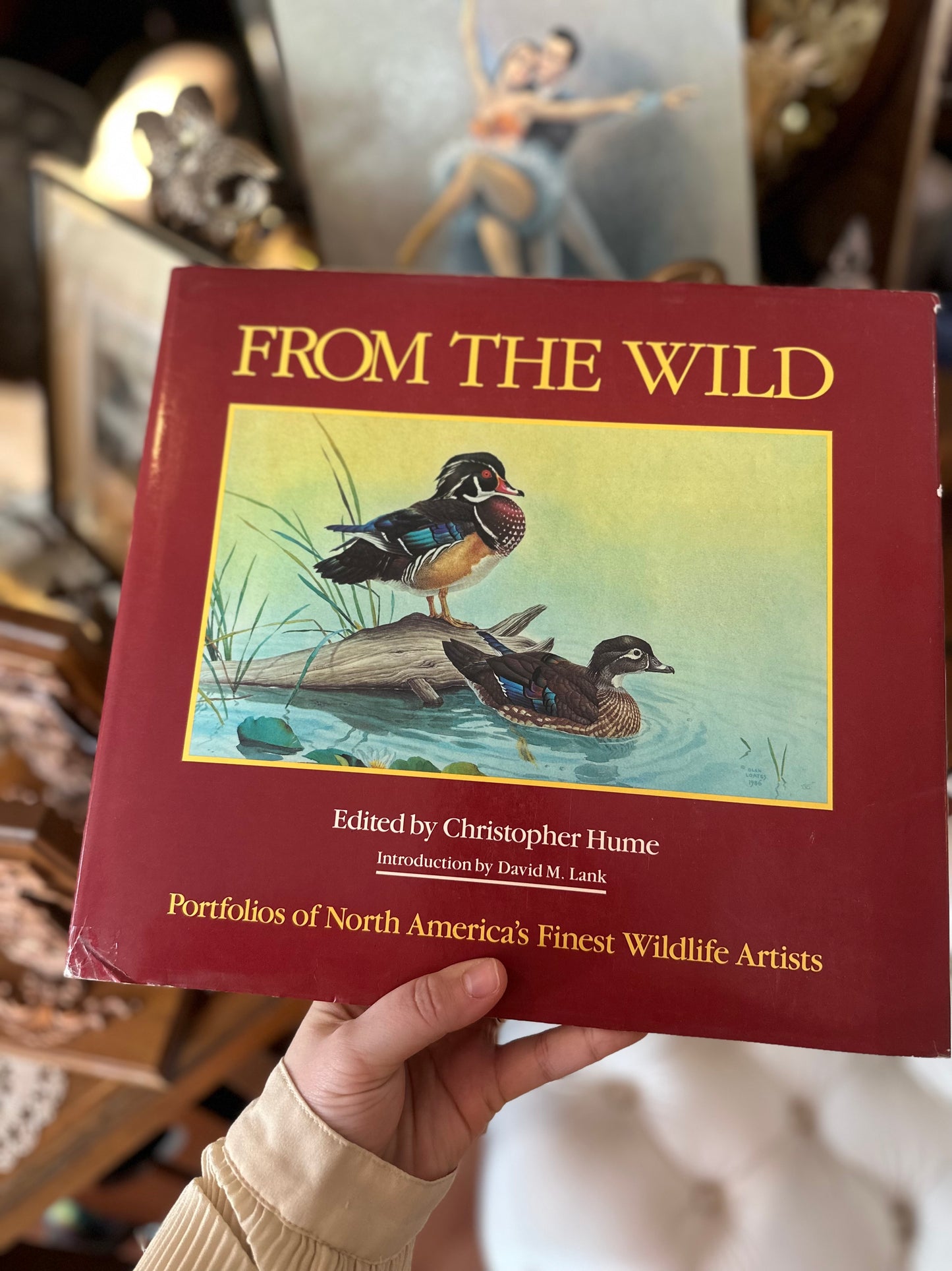 From The Wild - Portfolios of North America’s Finest Wildlife Artists