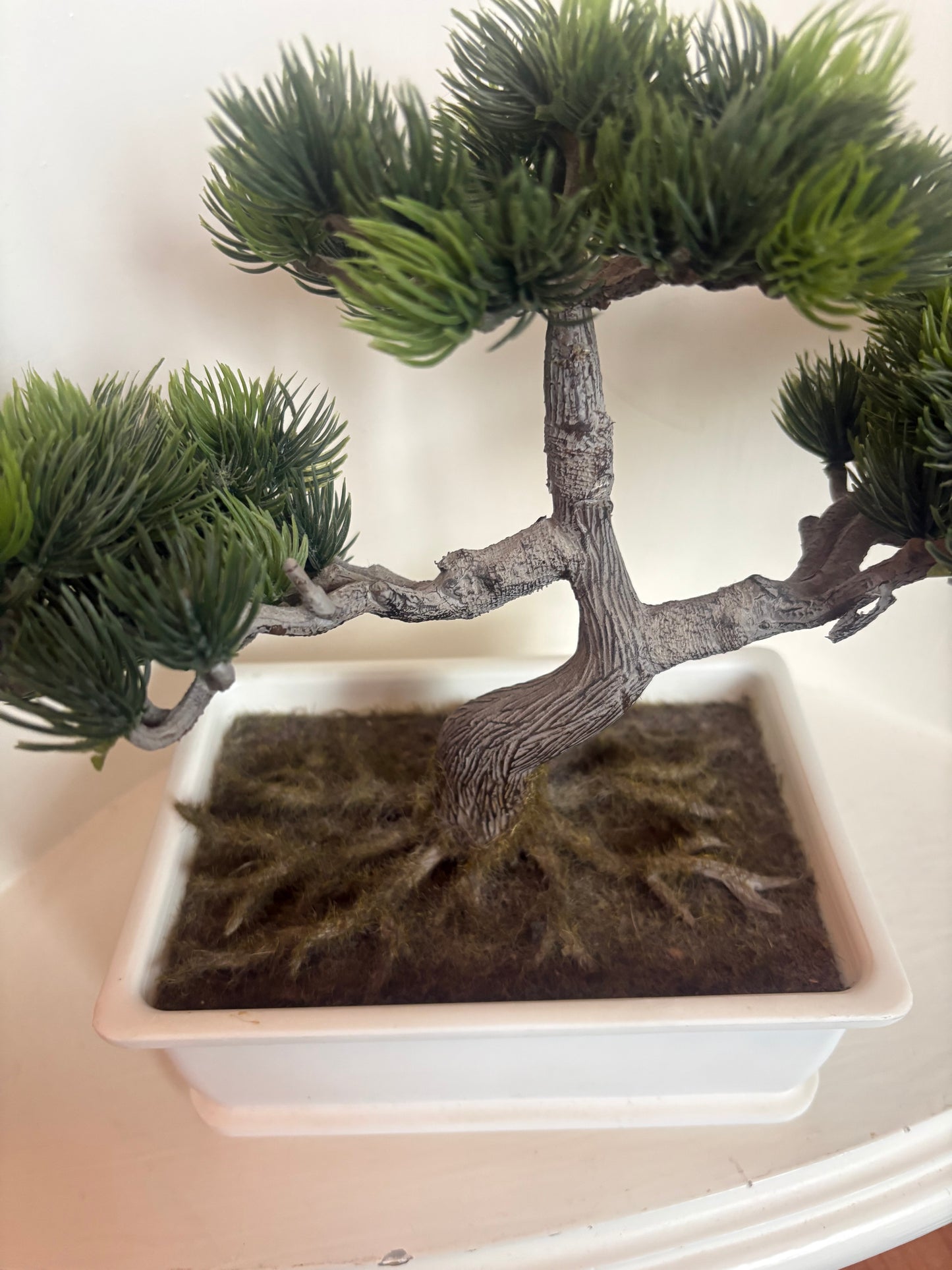 Faux Bonsai Tree in white plastic planter