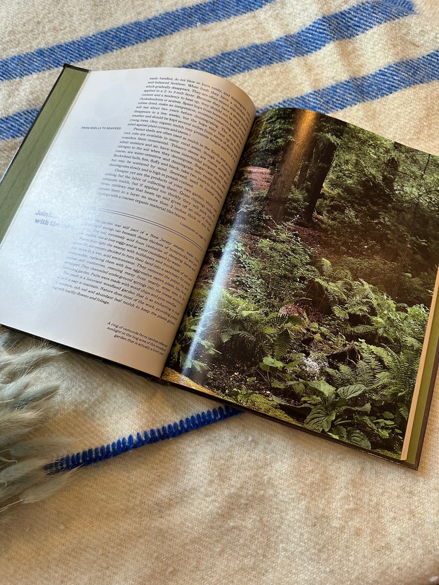 1978 The Time-Life Encyclopedia of Gardening Easy Gardens book