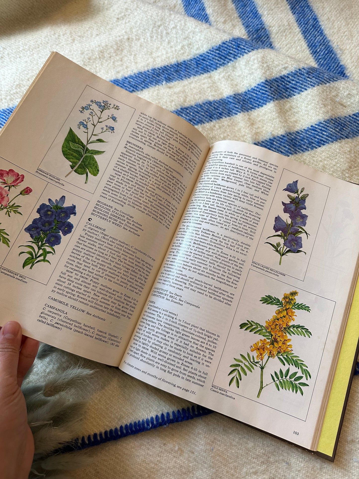 1978 The Time-Life Encyclopedia of Gardening Perennials Book