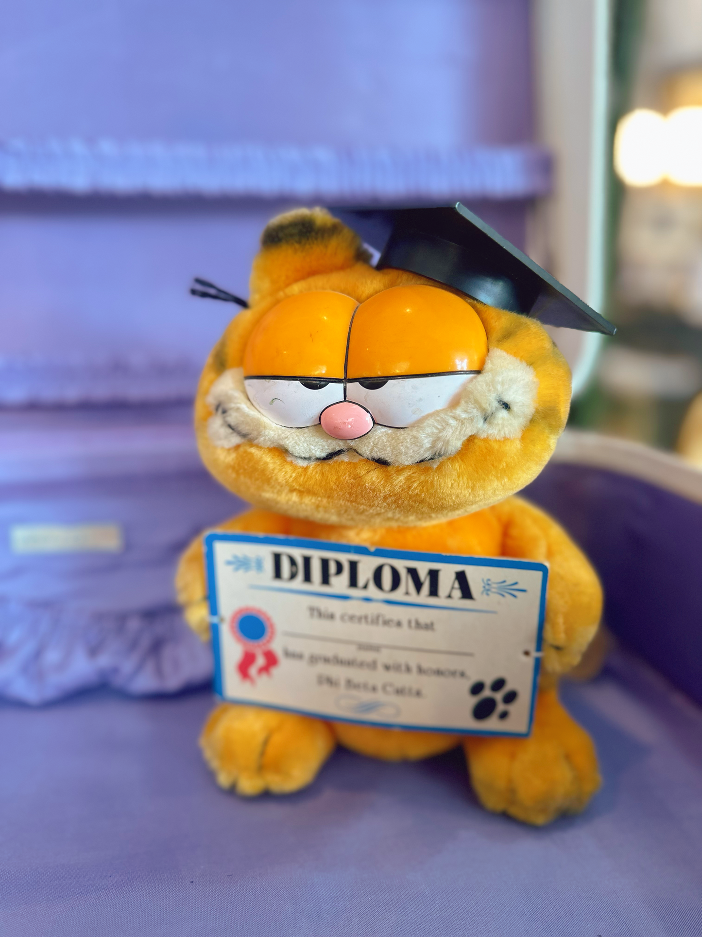 1989 Garfield Graduate Stuffed animal