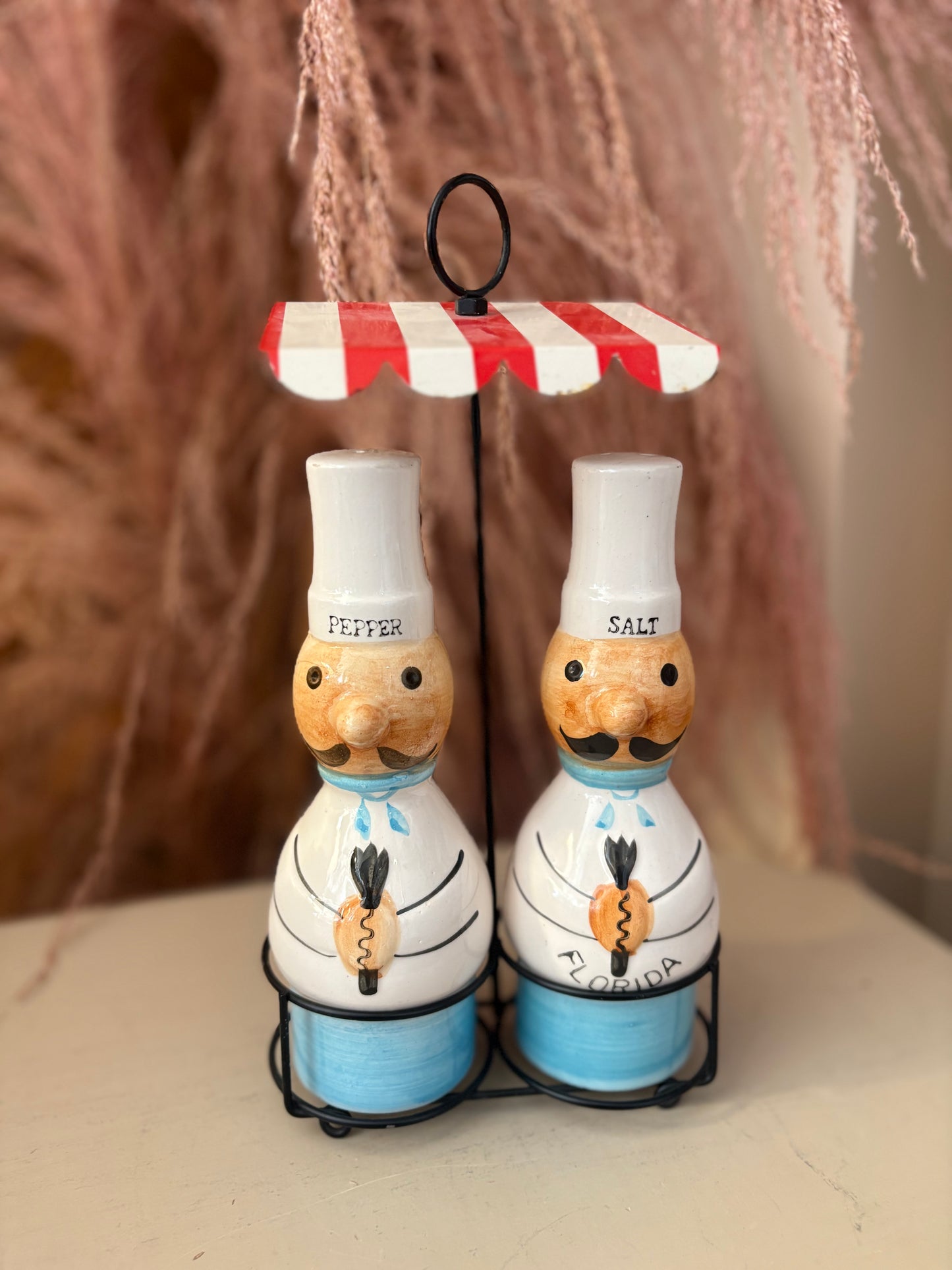 Florida Salt & Pepper Shaker set with stand - marked Japan