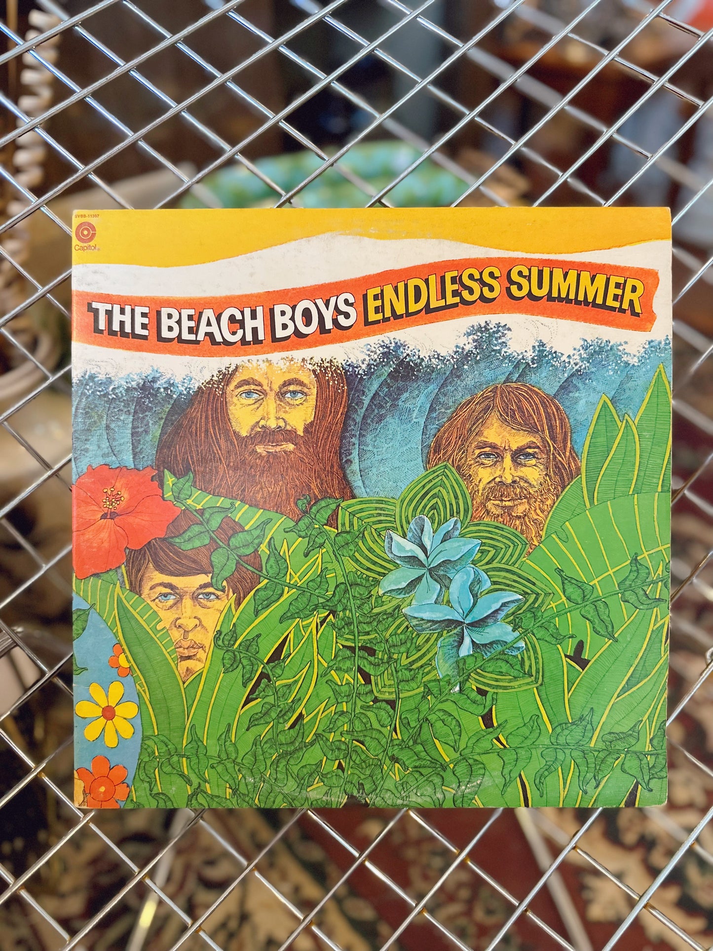 The Beach Boys Endless Summer Vinyl