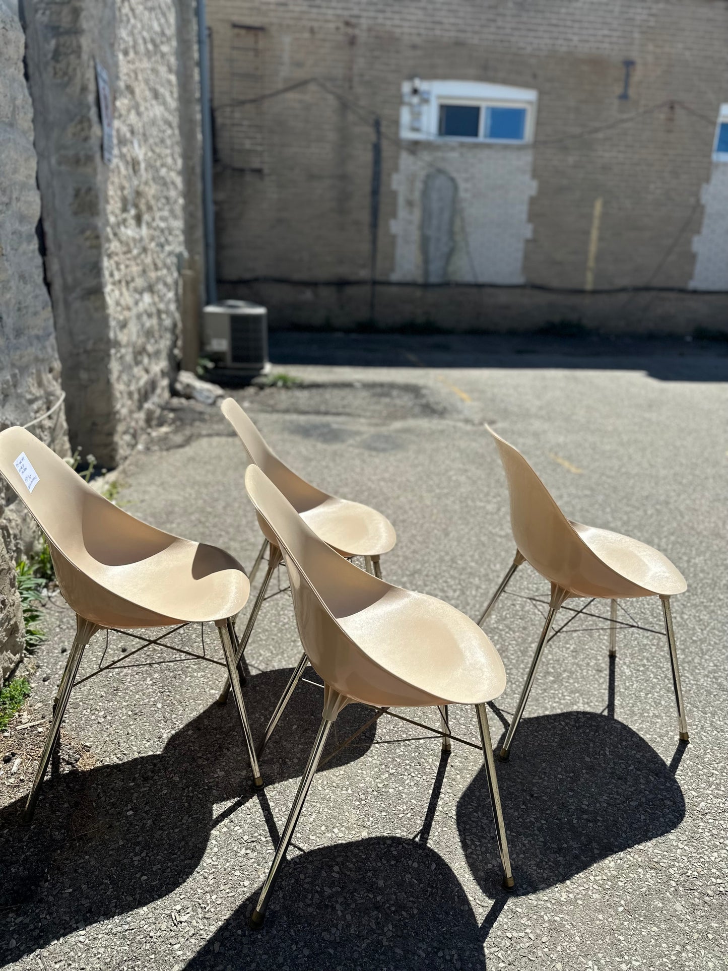 Set of 4 1970s Shell Chair designed by Sam Avedon