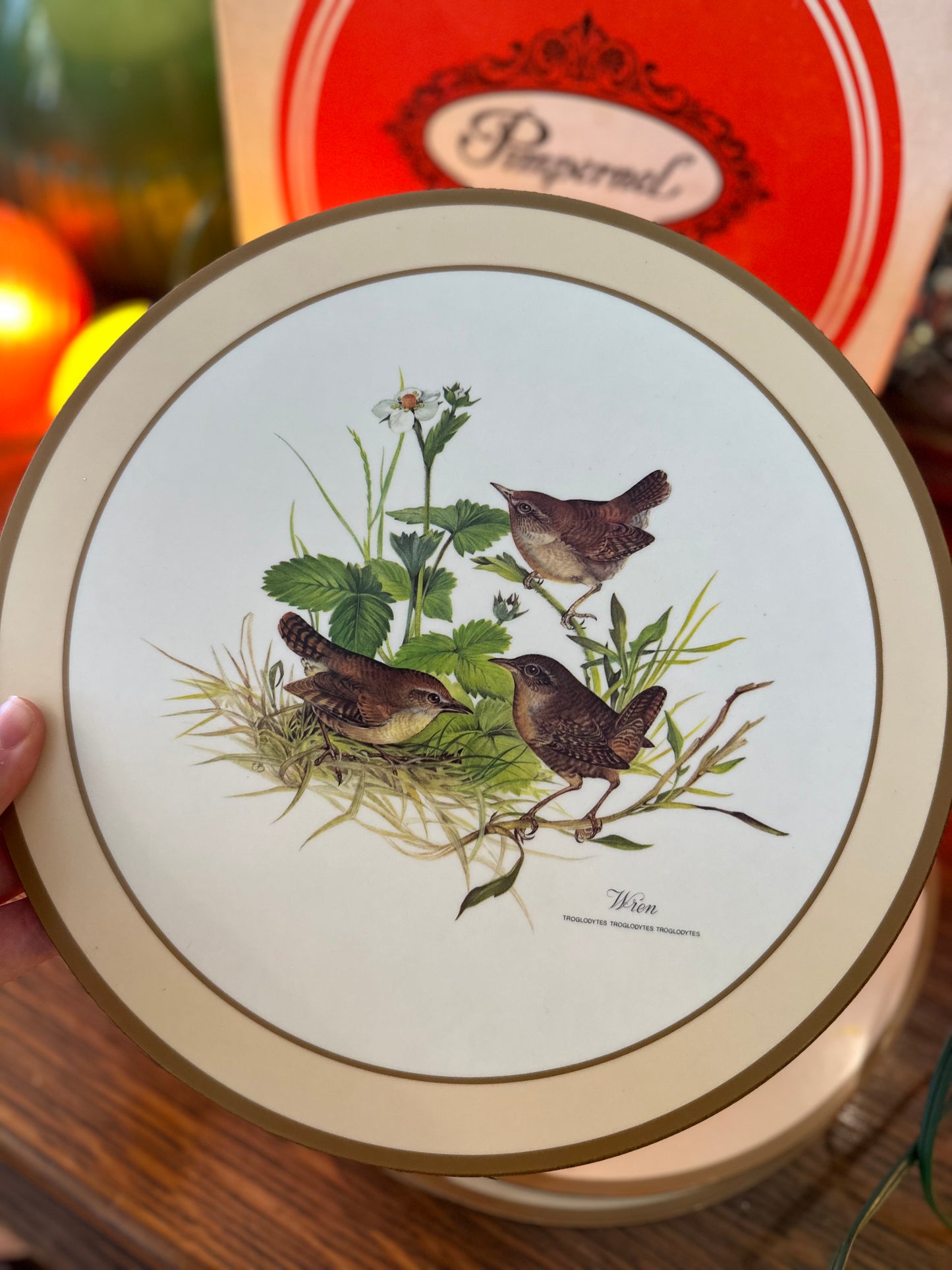 Pimpernel set of 6 round cork placemats with bird pictures