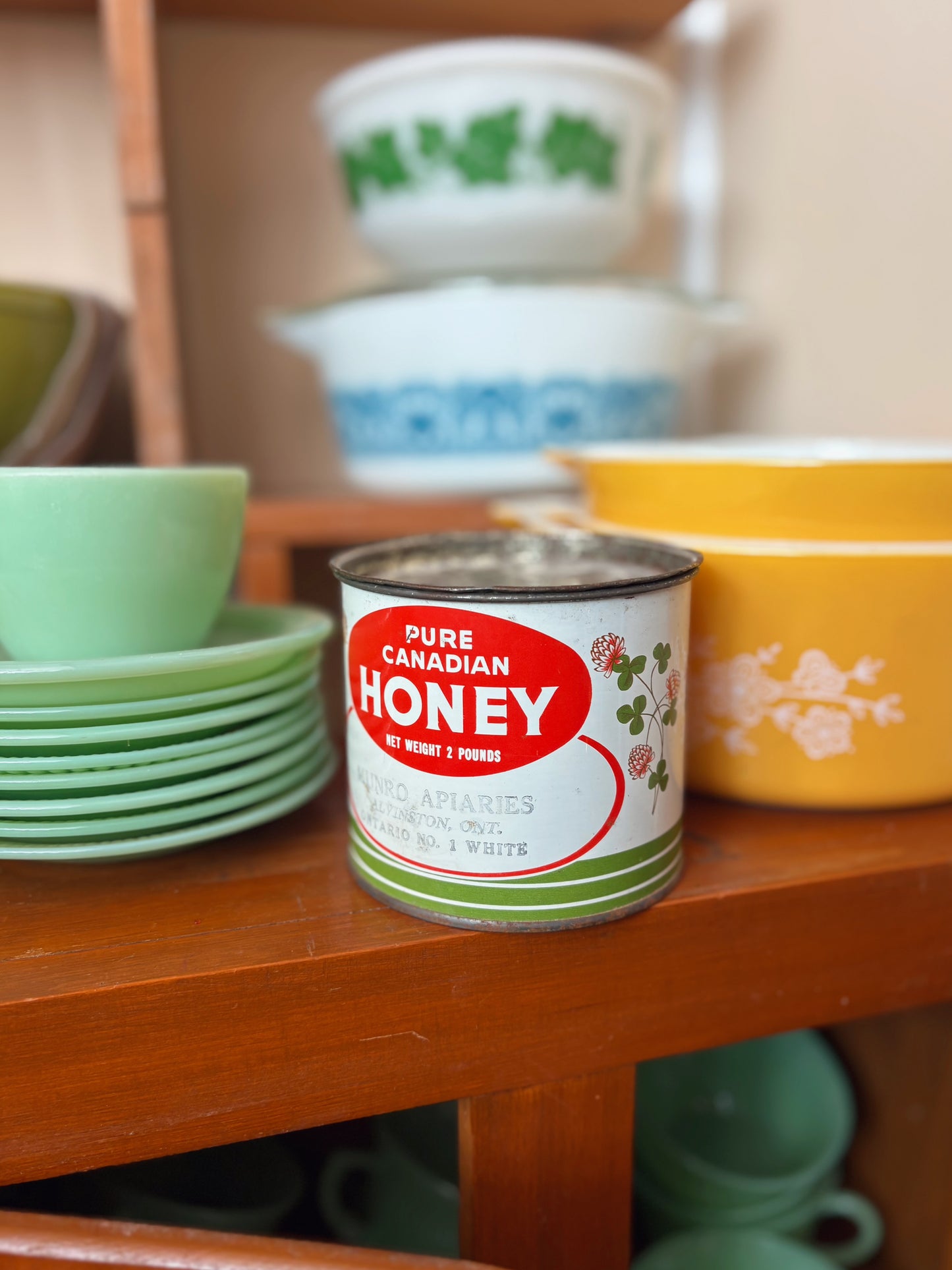 Munro Apiaries Pure Canadian Honey Tin - Alvinston ON