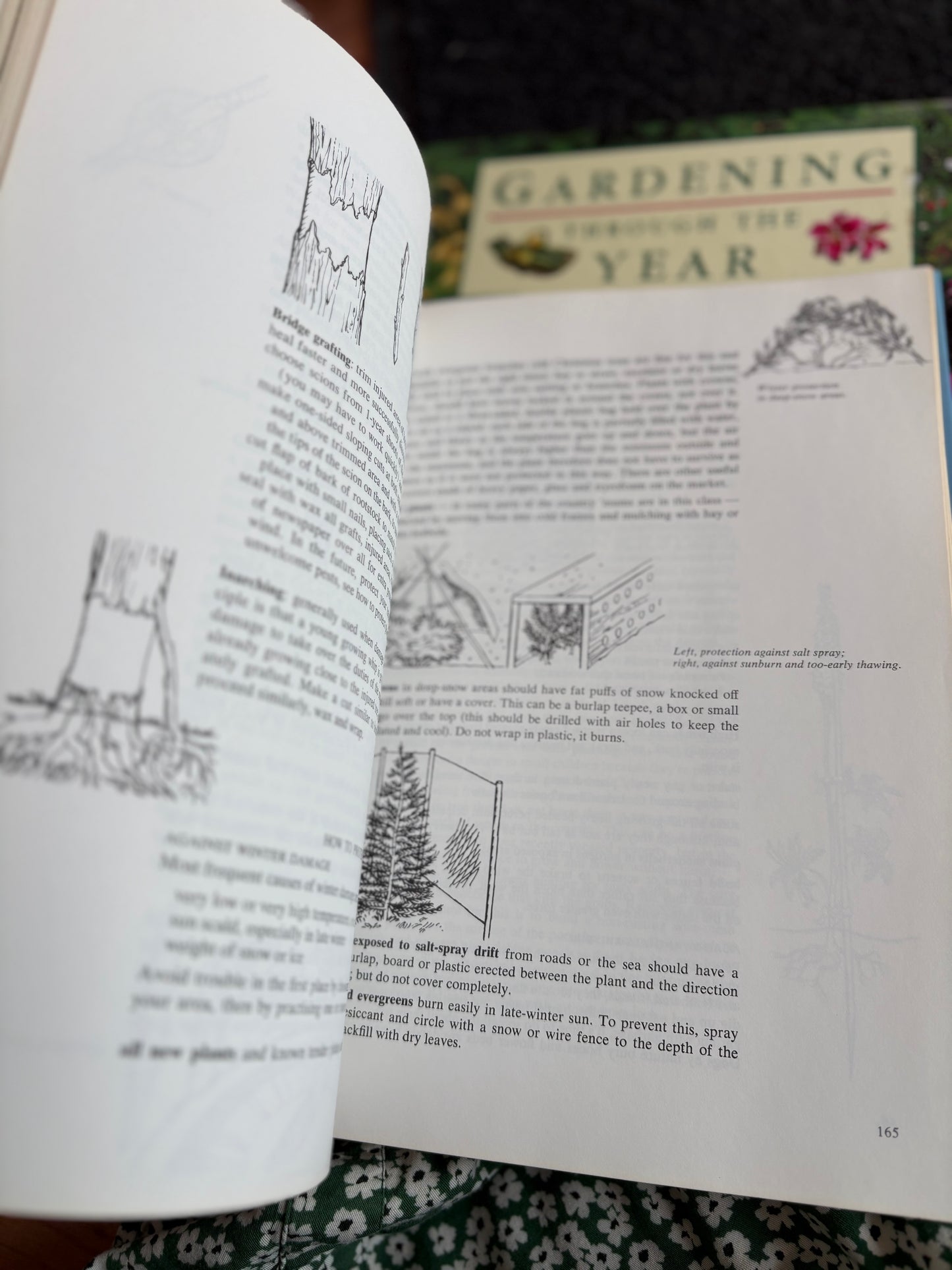 Chatelaine’s Gardening Book by Lois Wilson