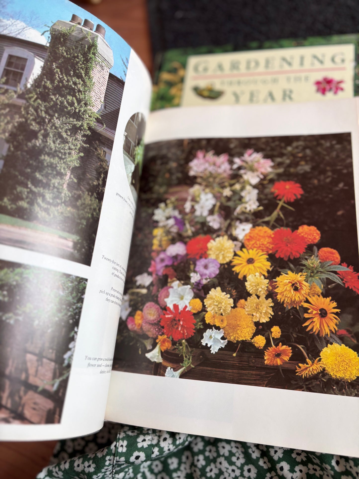 Chatelaine’s Gardening Book by Lois Wilson