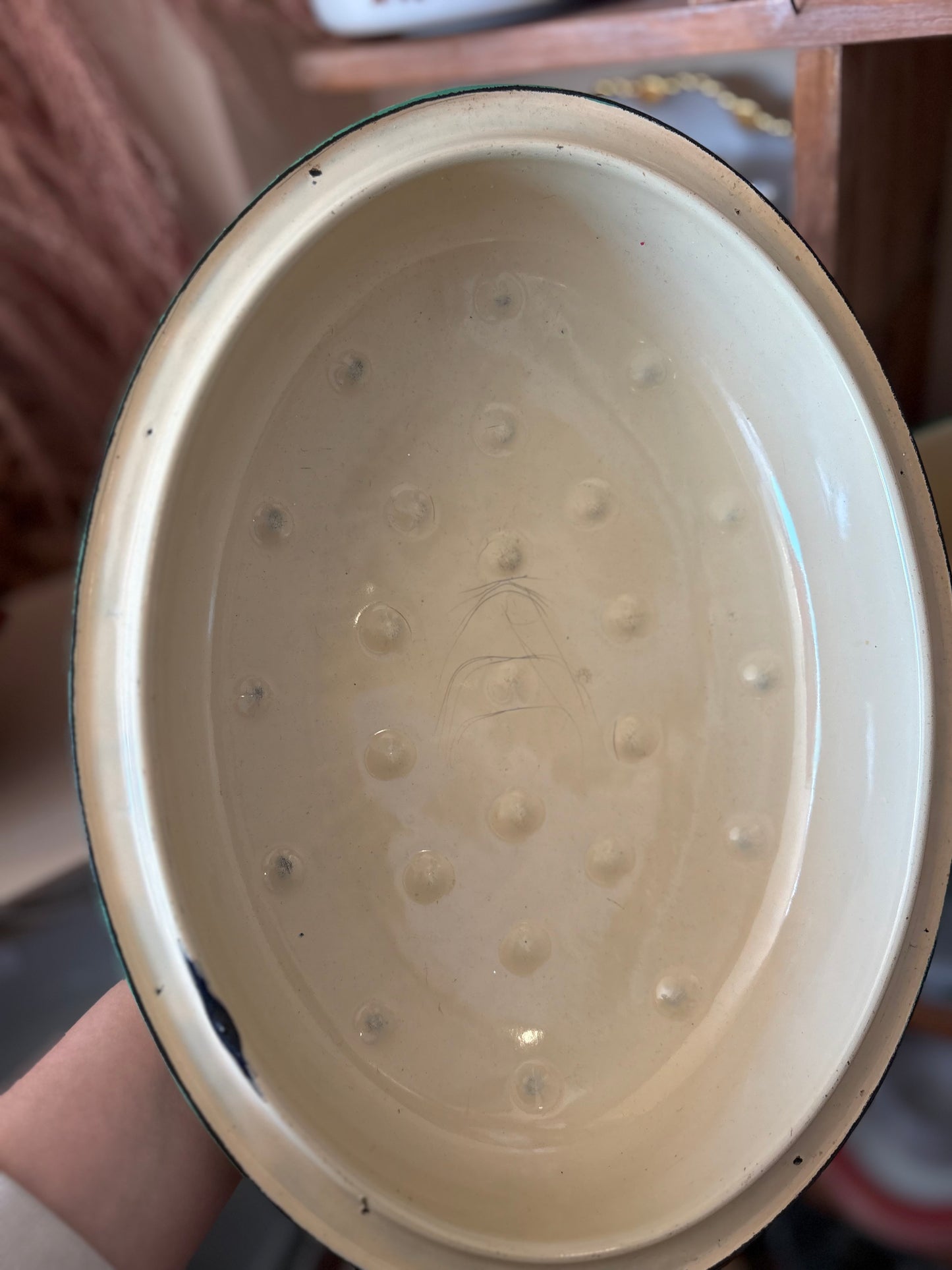 Oval Enamelware Roasting Pan - green trim