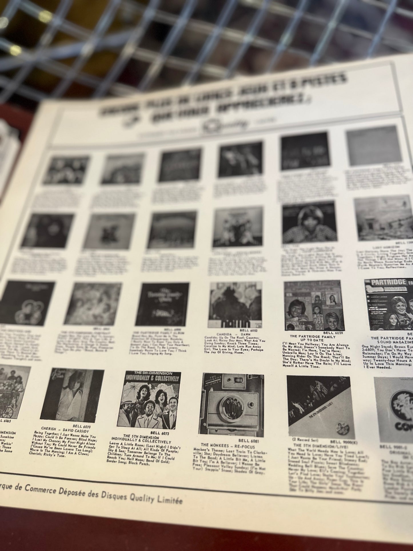 The Brady Bunch - Phonographic Album Vinyl