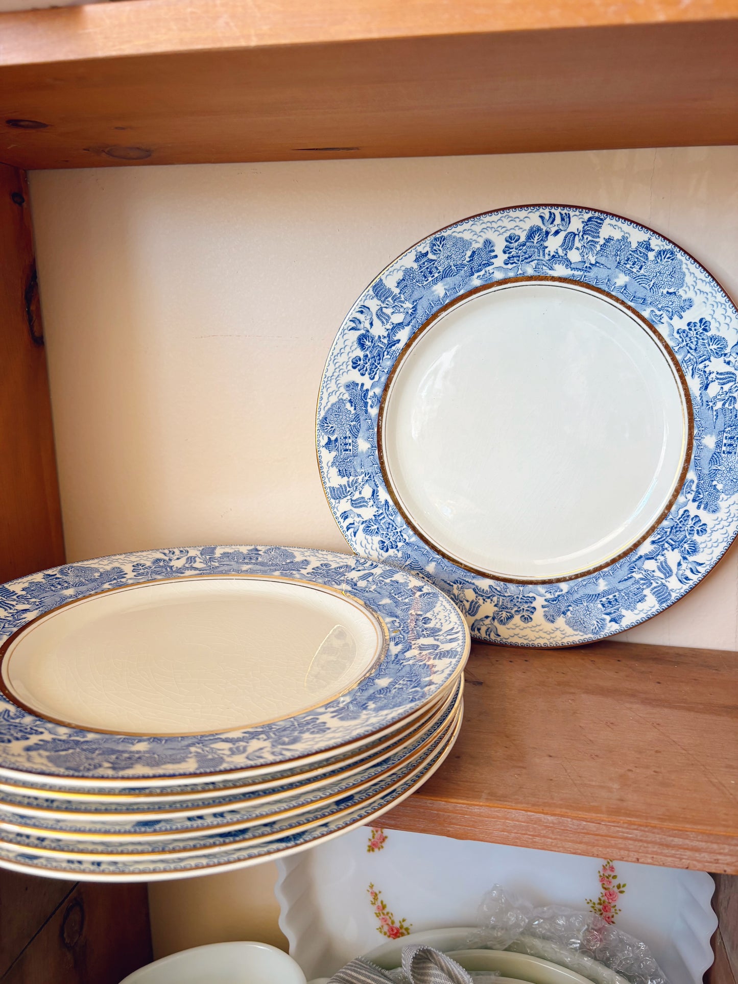 Set of 7 Myott Son & Co England Plates dinner plates