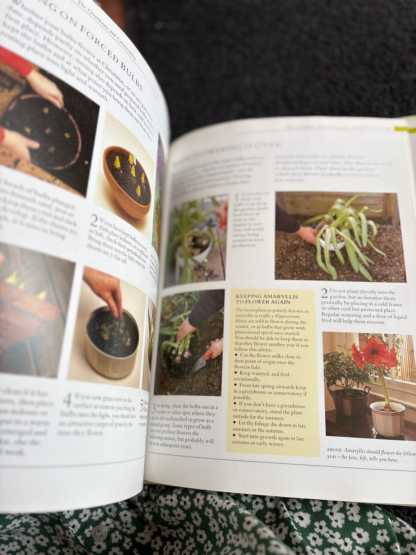Gardening Through The Year Book