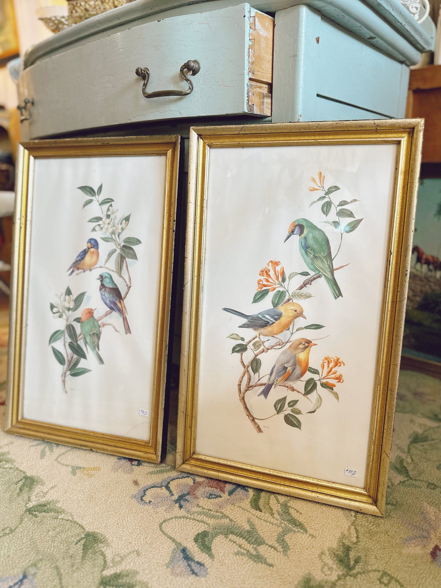 Pair of framed bird illustrations signed AMTR