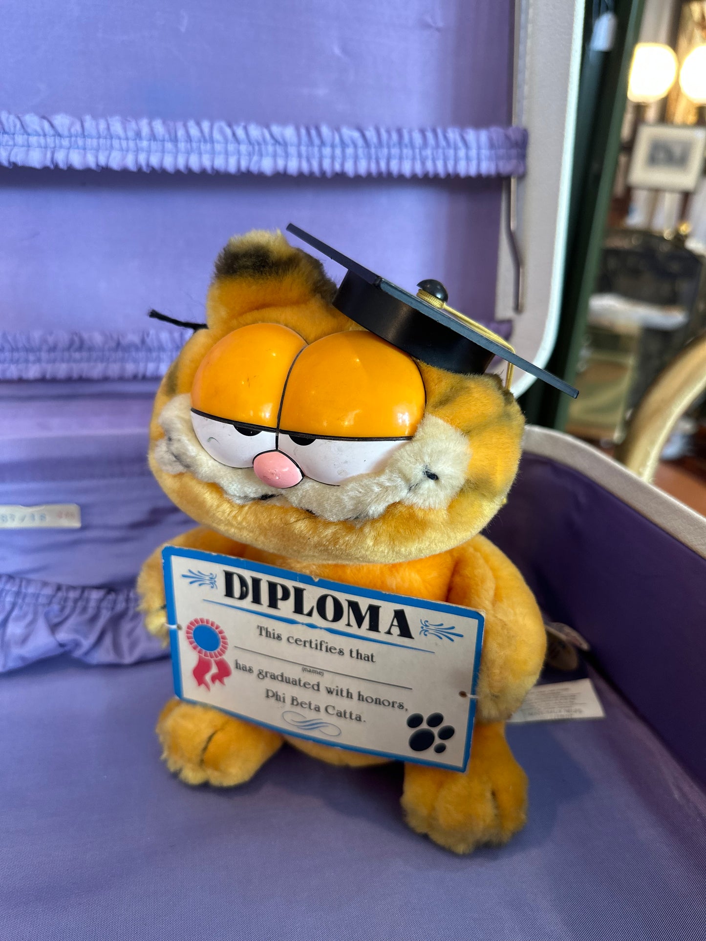 1989 Garfield Graduate Stuffed animal