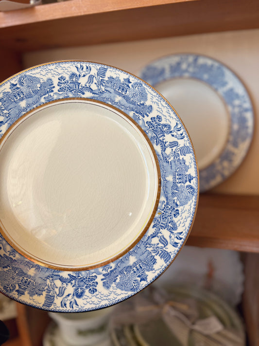Set of 7 Myott Son & Co England Plates dinner plates