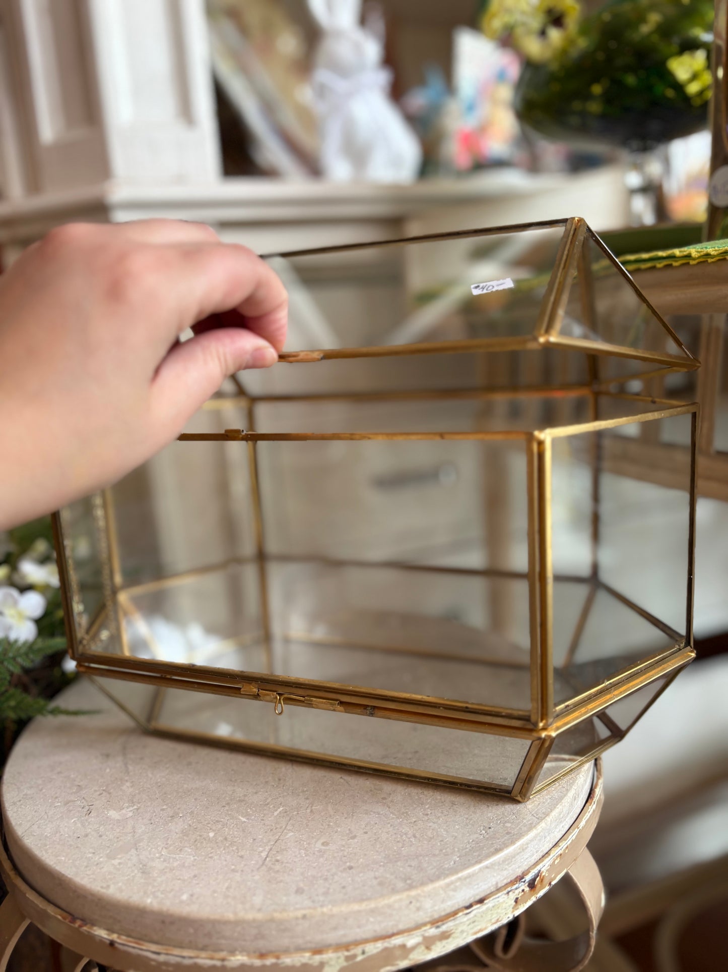 Glass terrarium