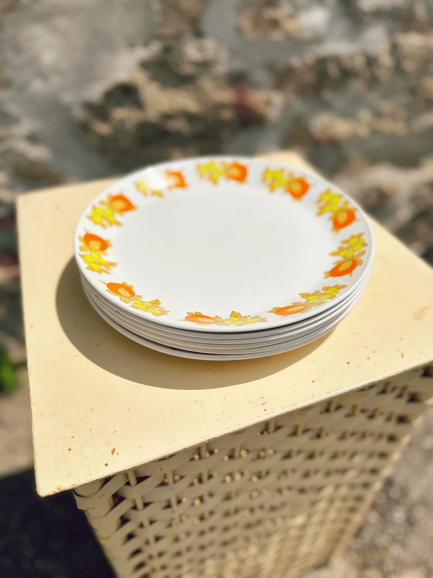 Set of 6 Snowhite China Pompano Plates