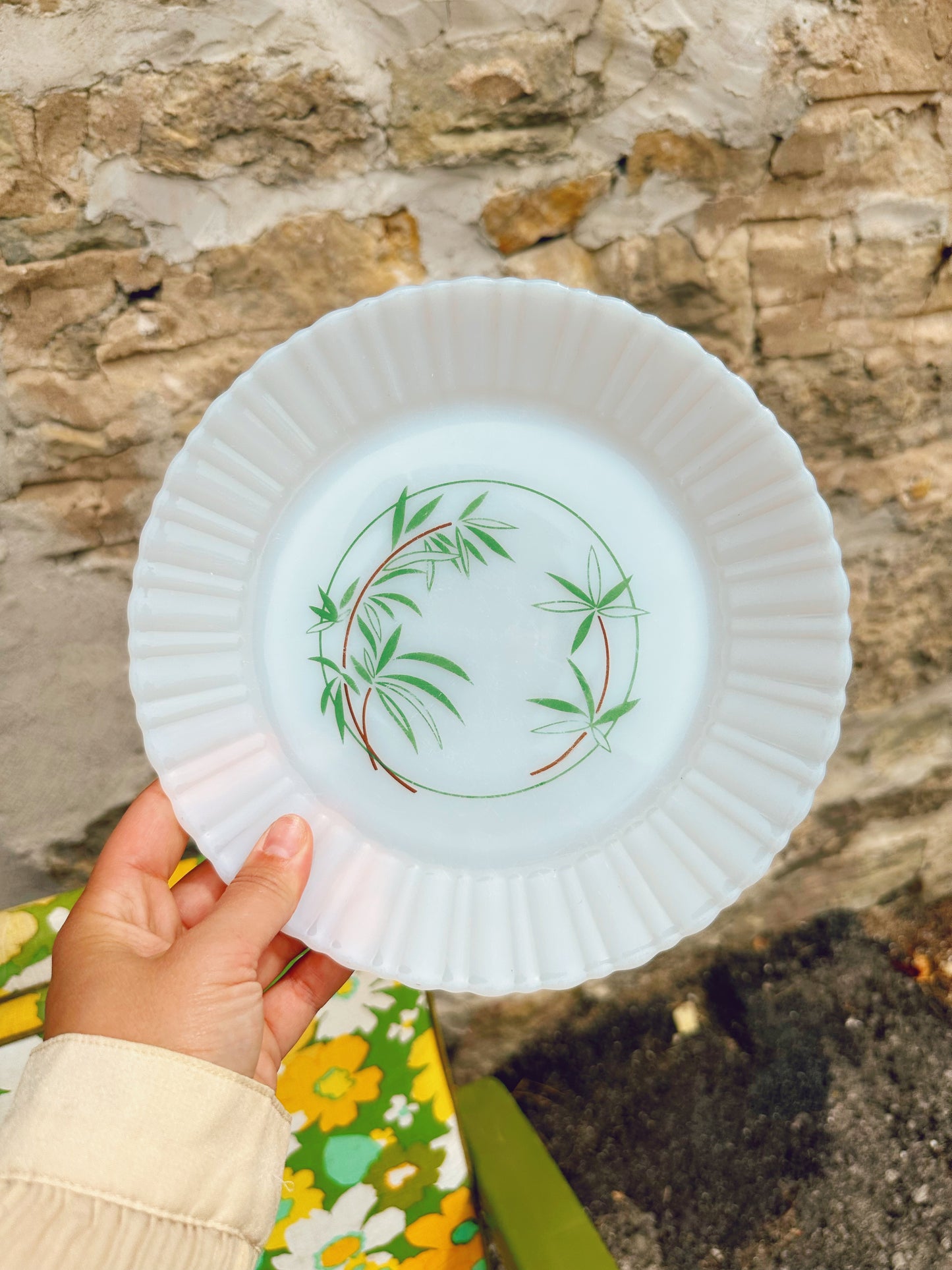 Termocrisa Mexico Milk Glass Plates