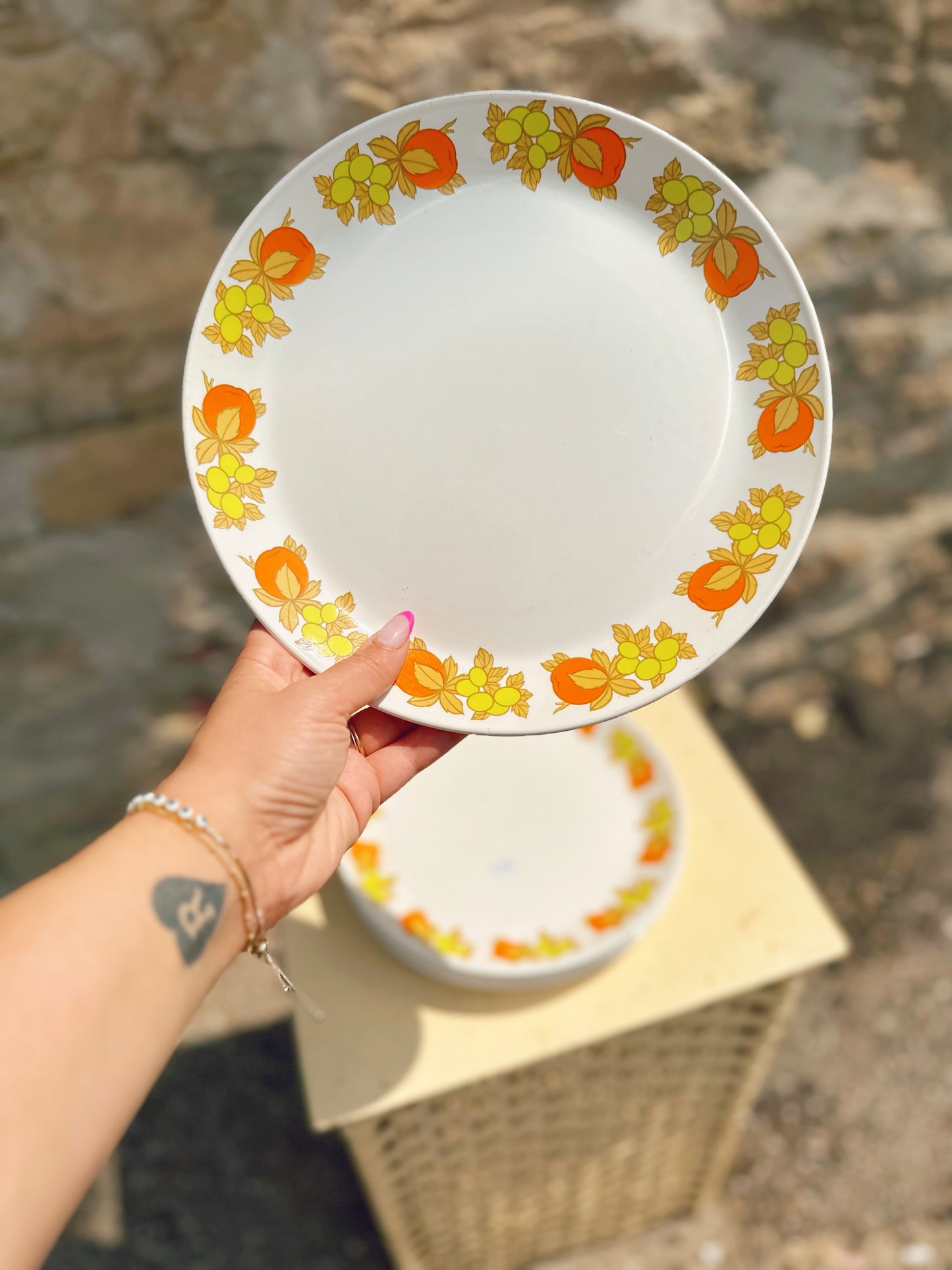 Set of 6 Snowhite China Pompano Plates