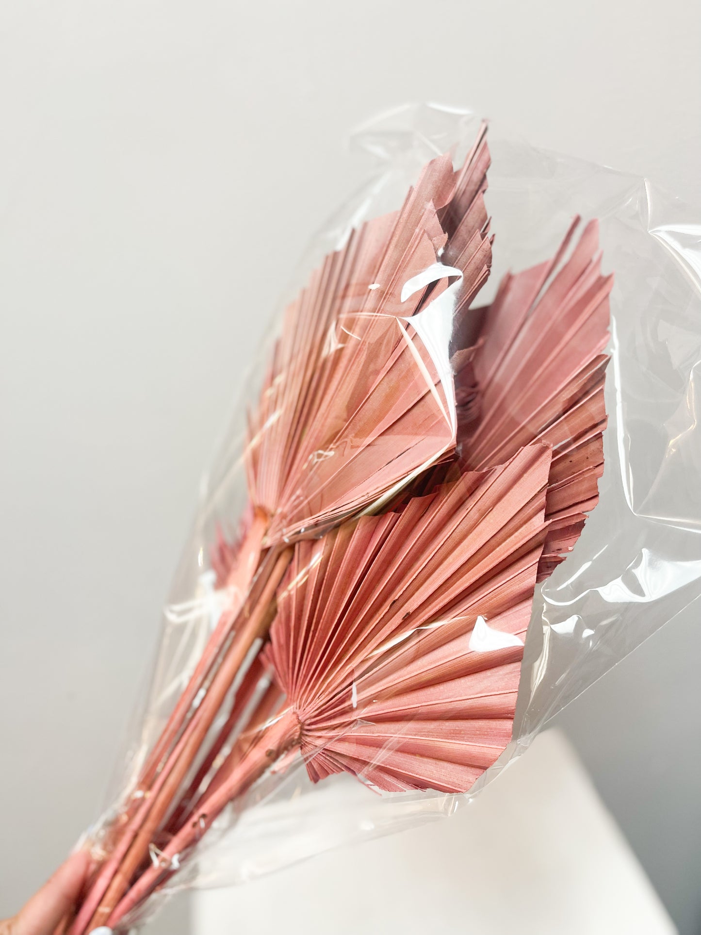 Pink Palm Spears