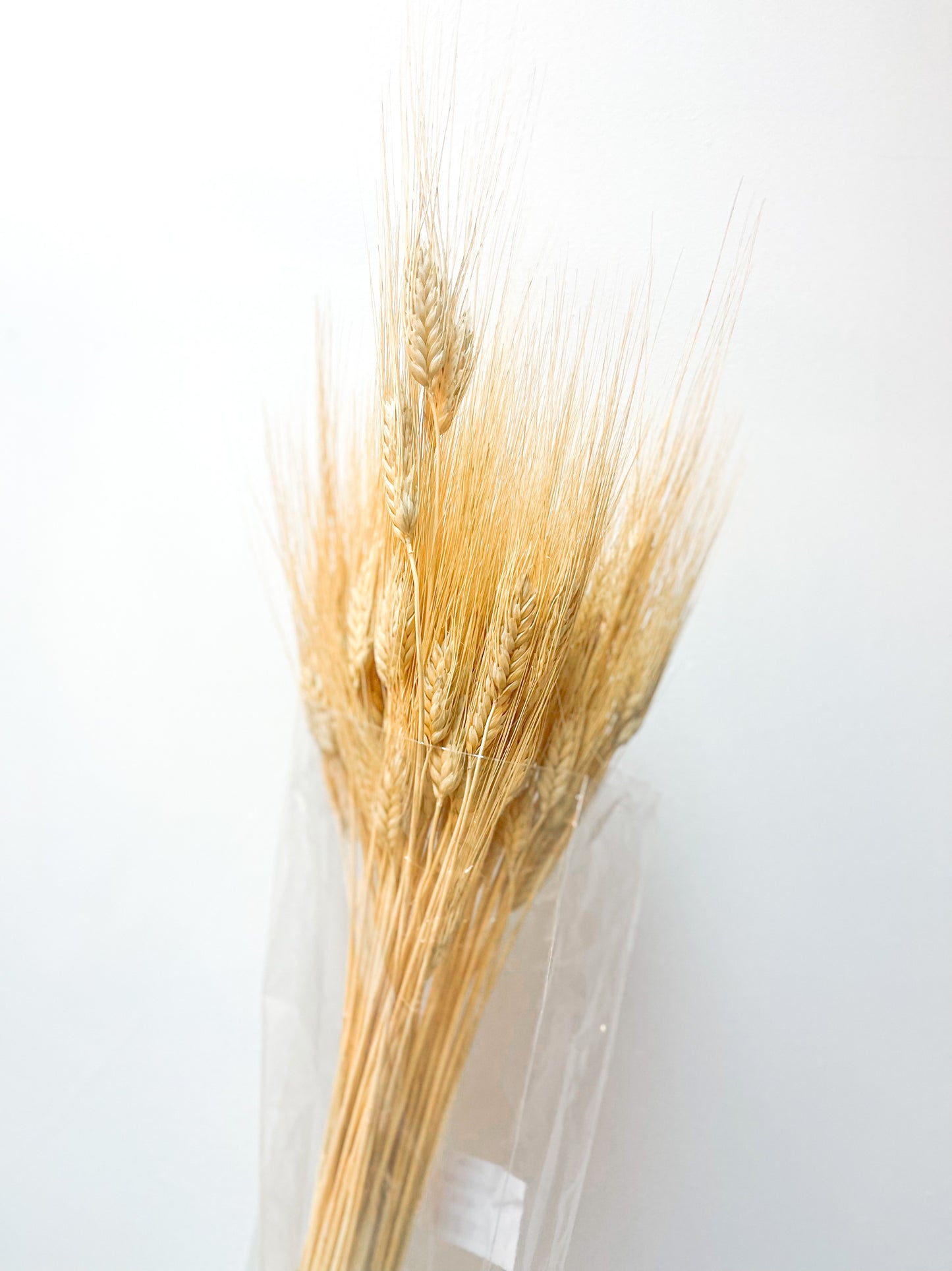 Neutral Dried Wheat Decor