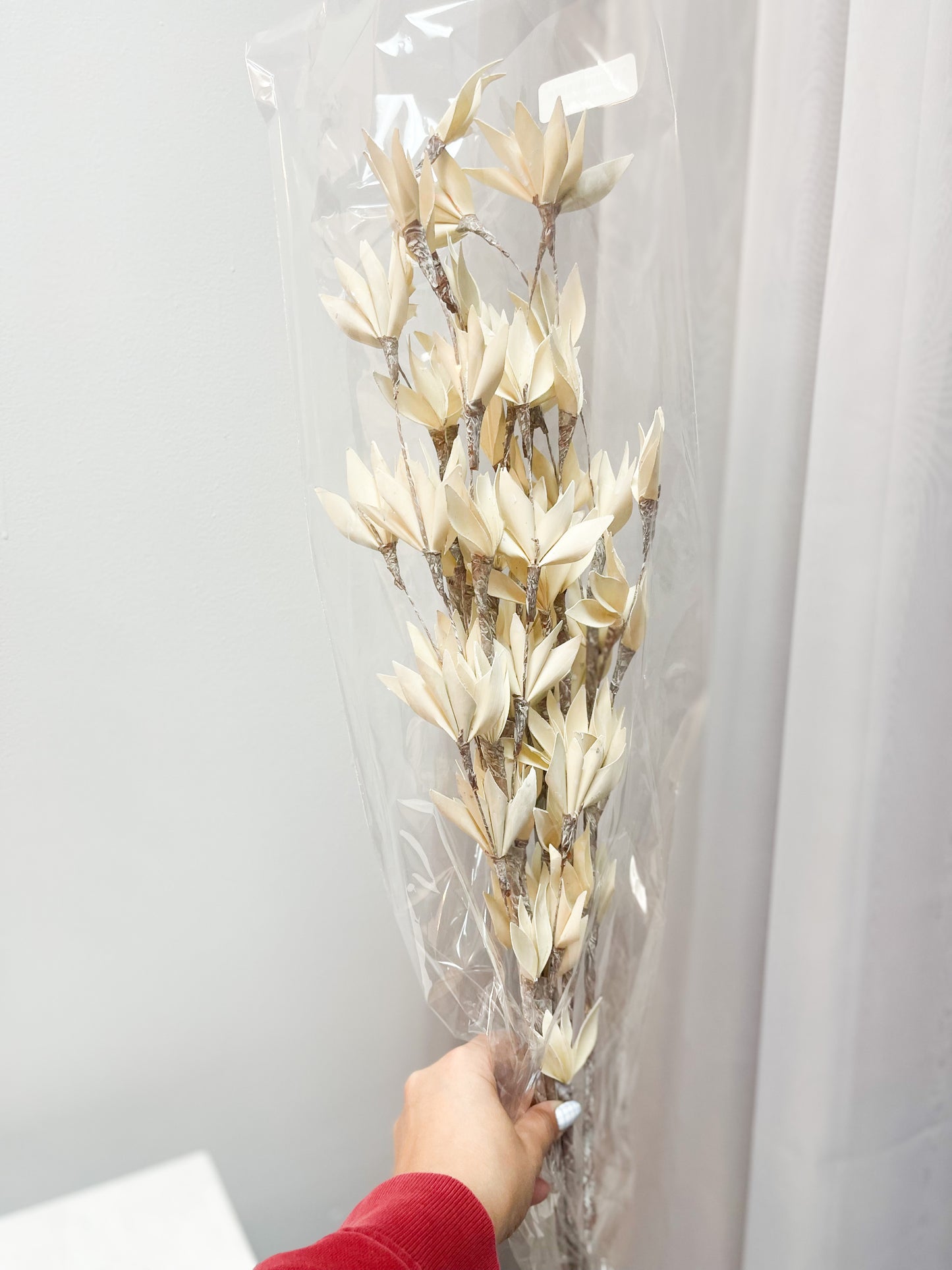 Neutral Palm Peacock Flowers