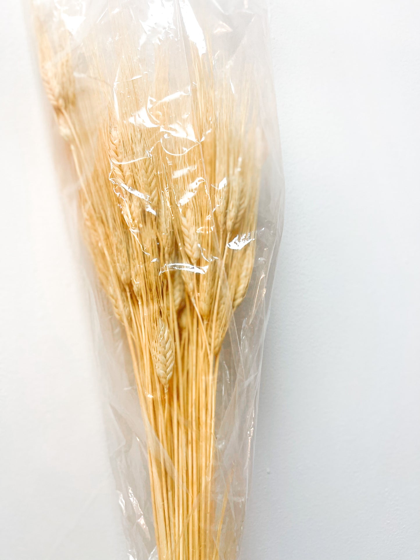 Neutral Dried Wheat Decor