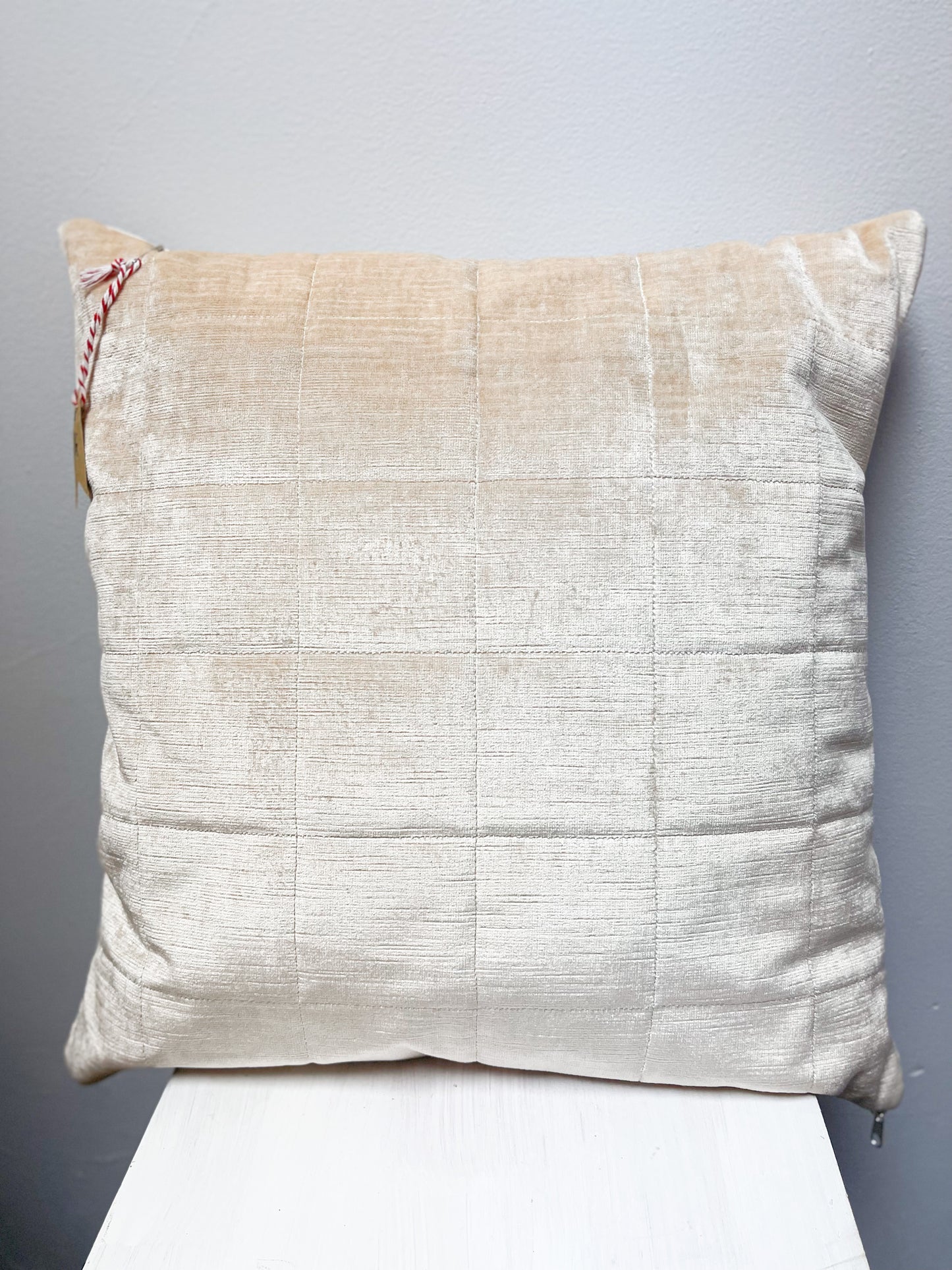 Textured Accent Pillow - Neutral