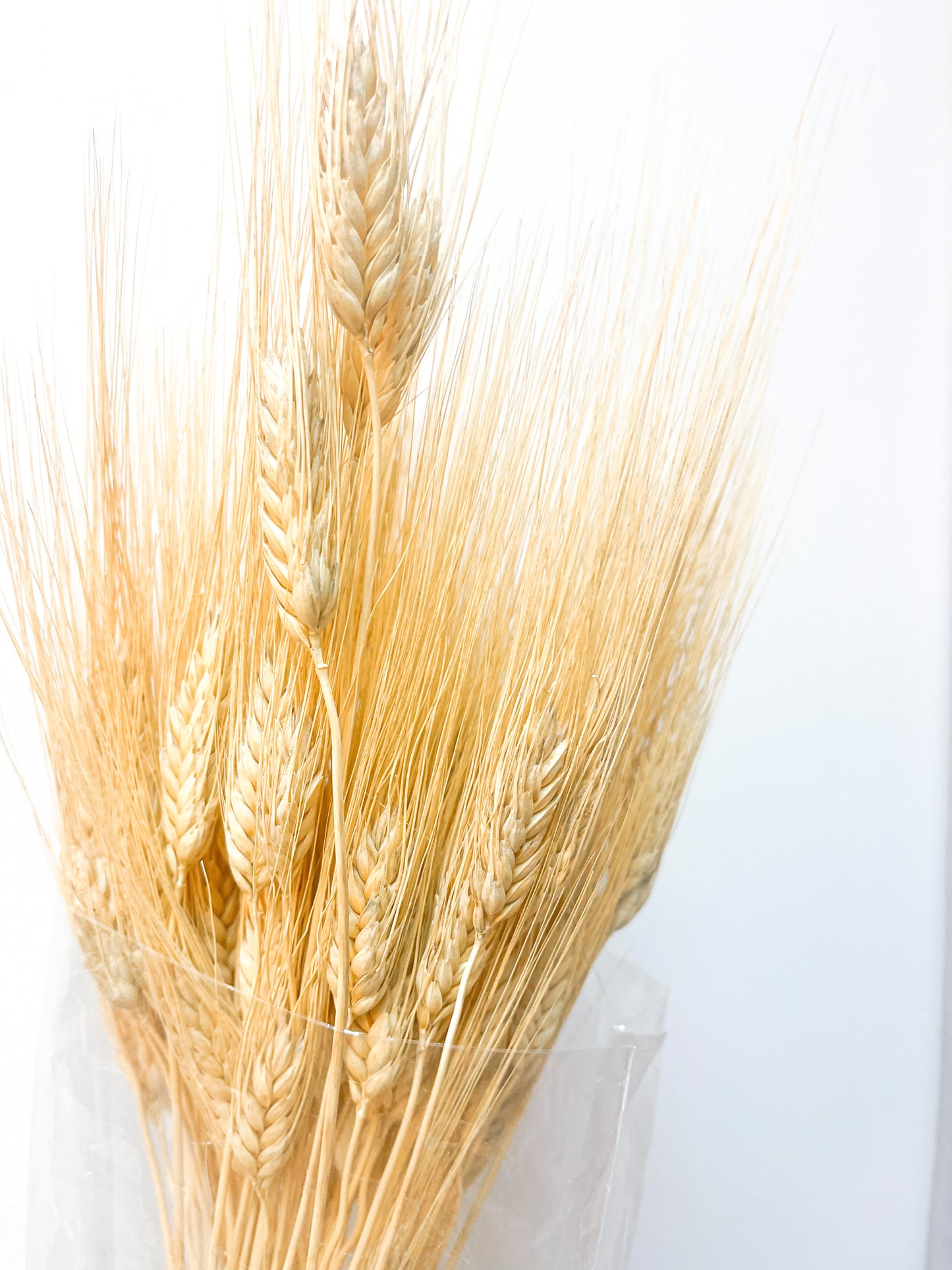 Neutral Dried Wheat Decor