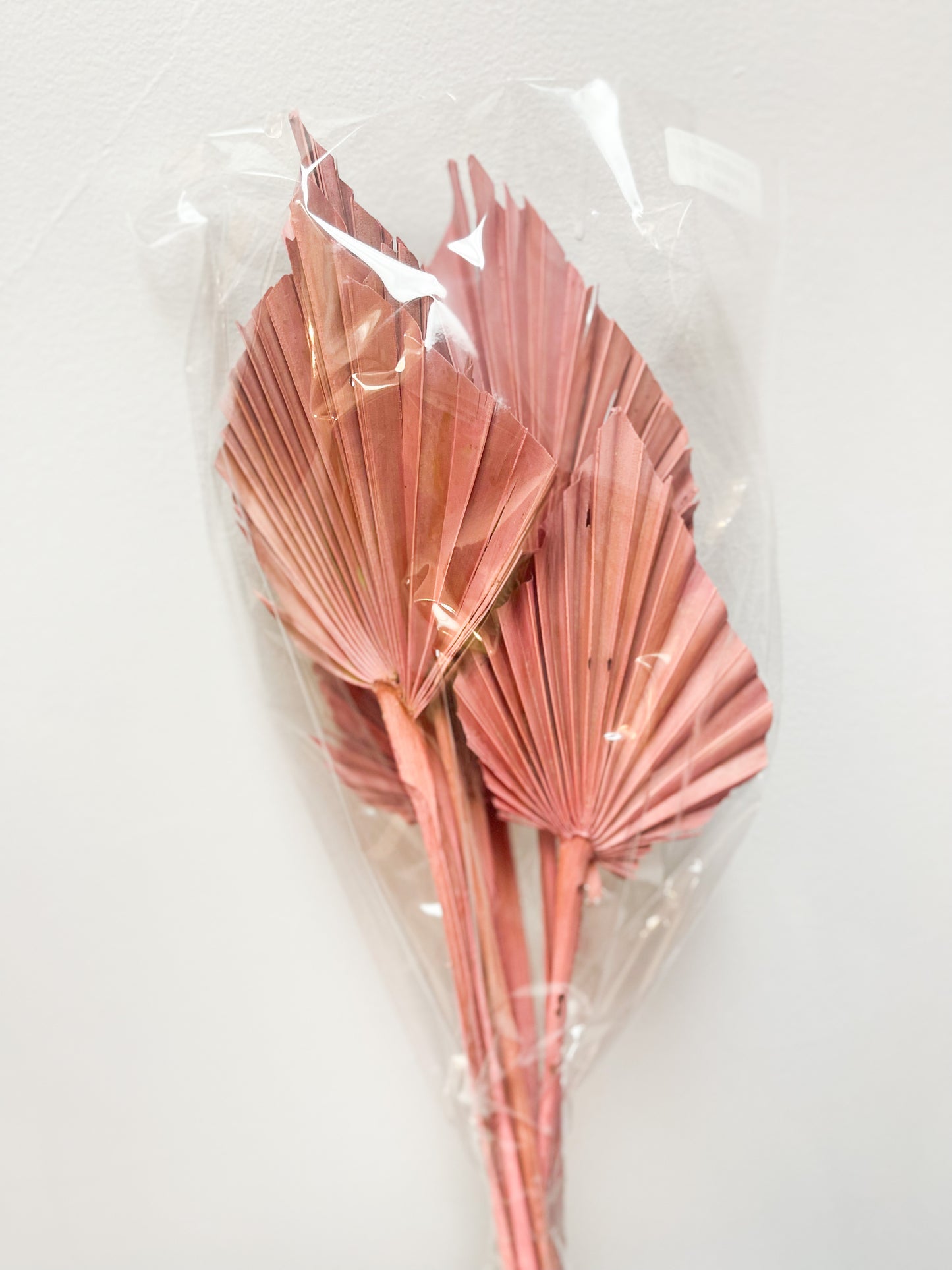 Pink Palm Spears