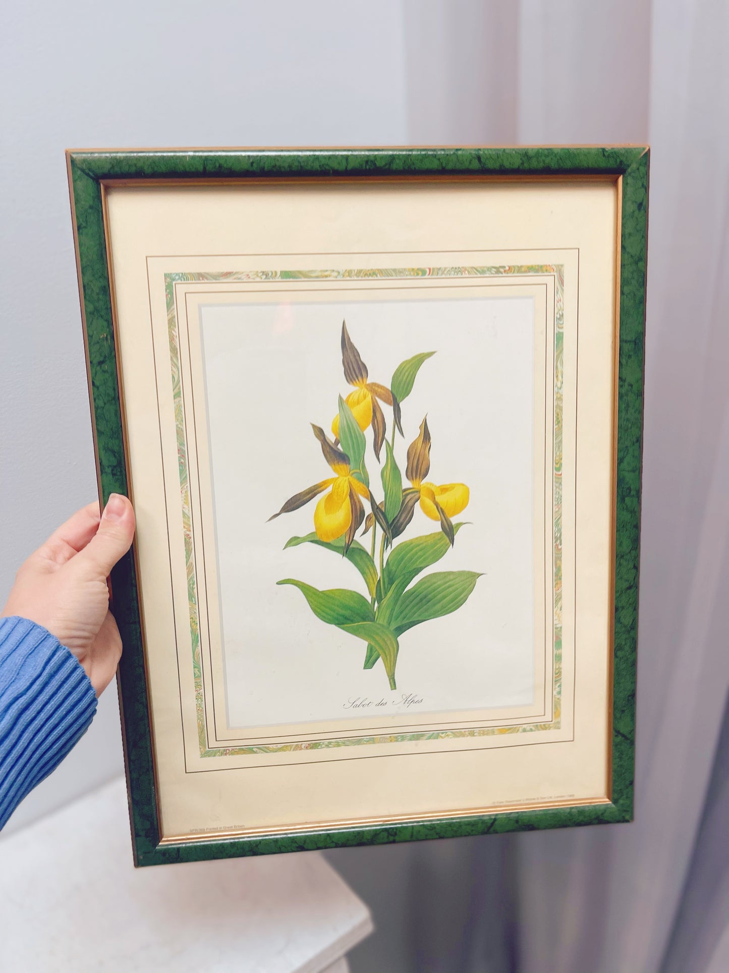 Framed Botanical print