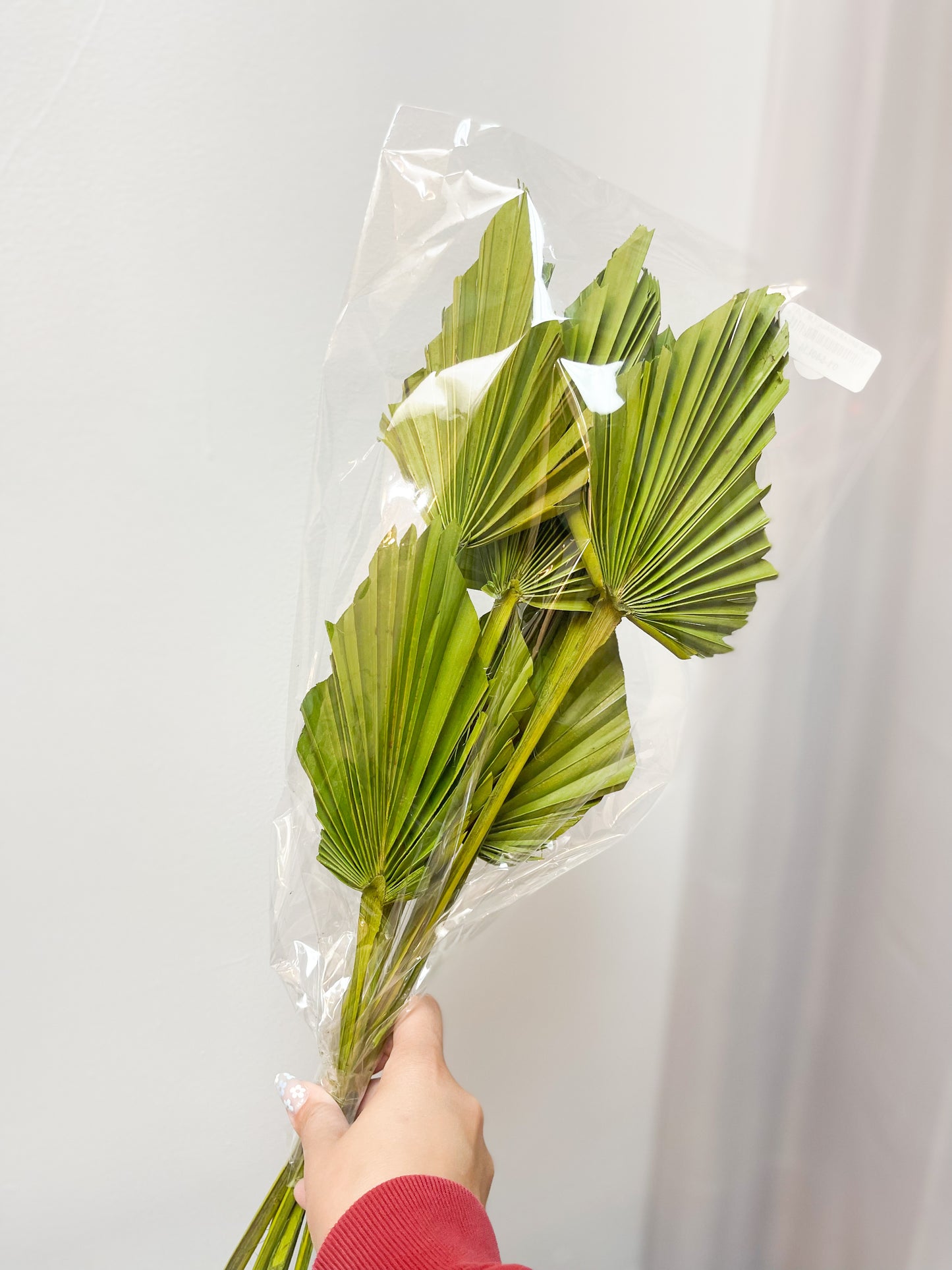 Green Palm Spears