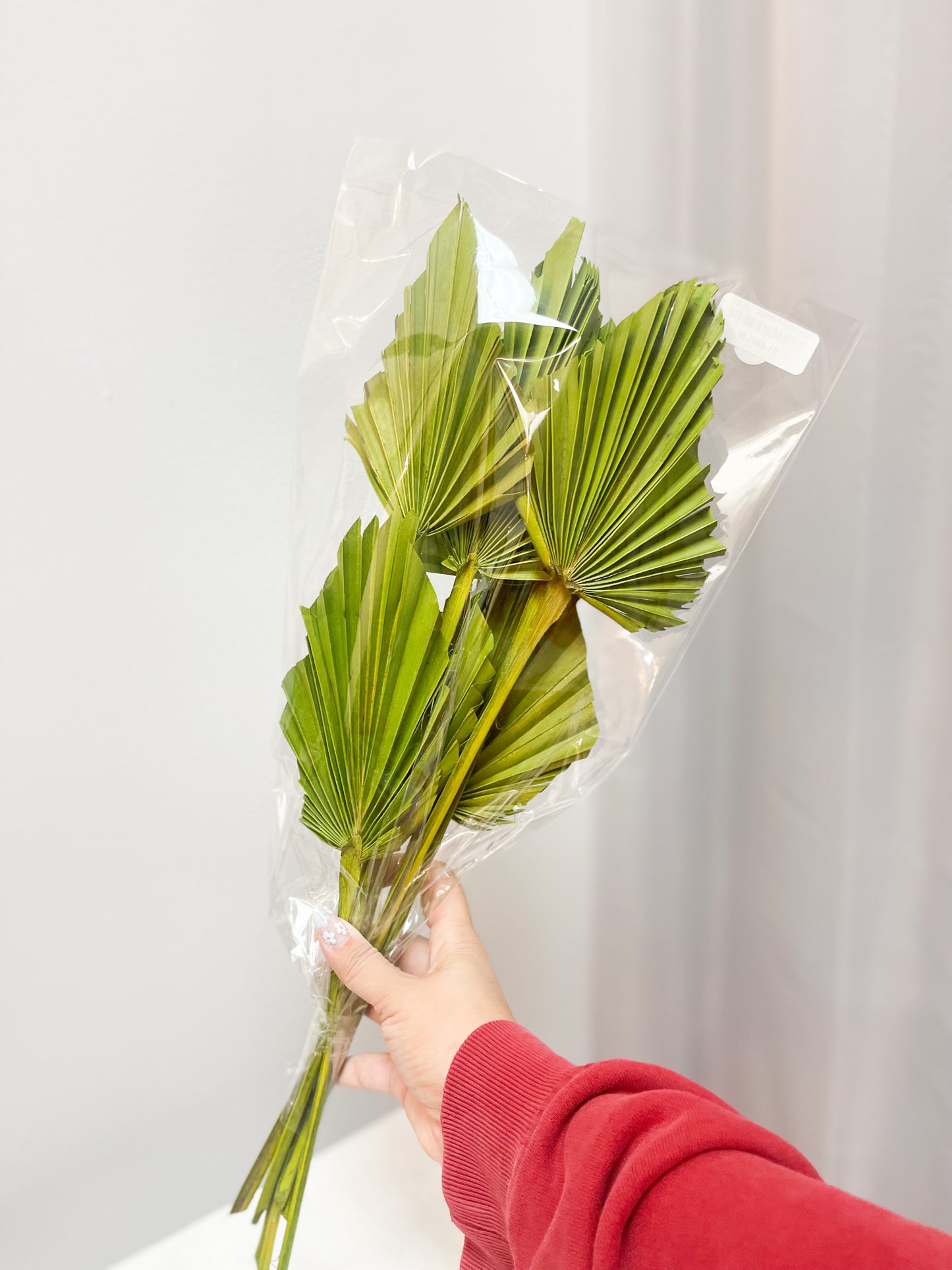 Green Palm Spears