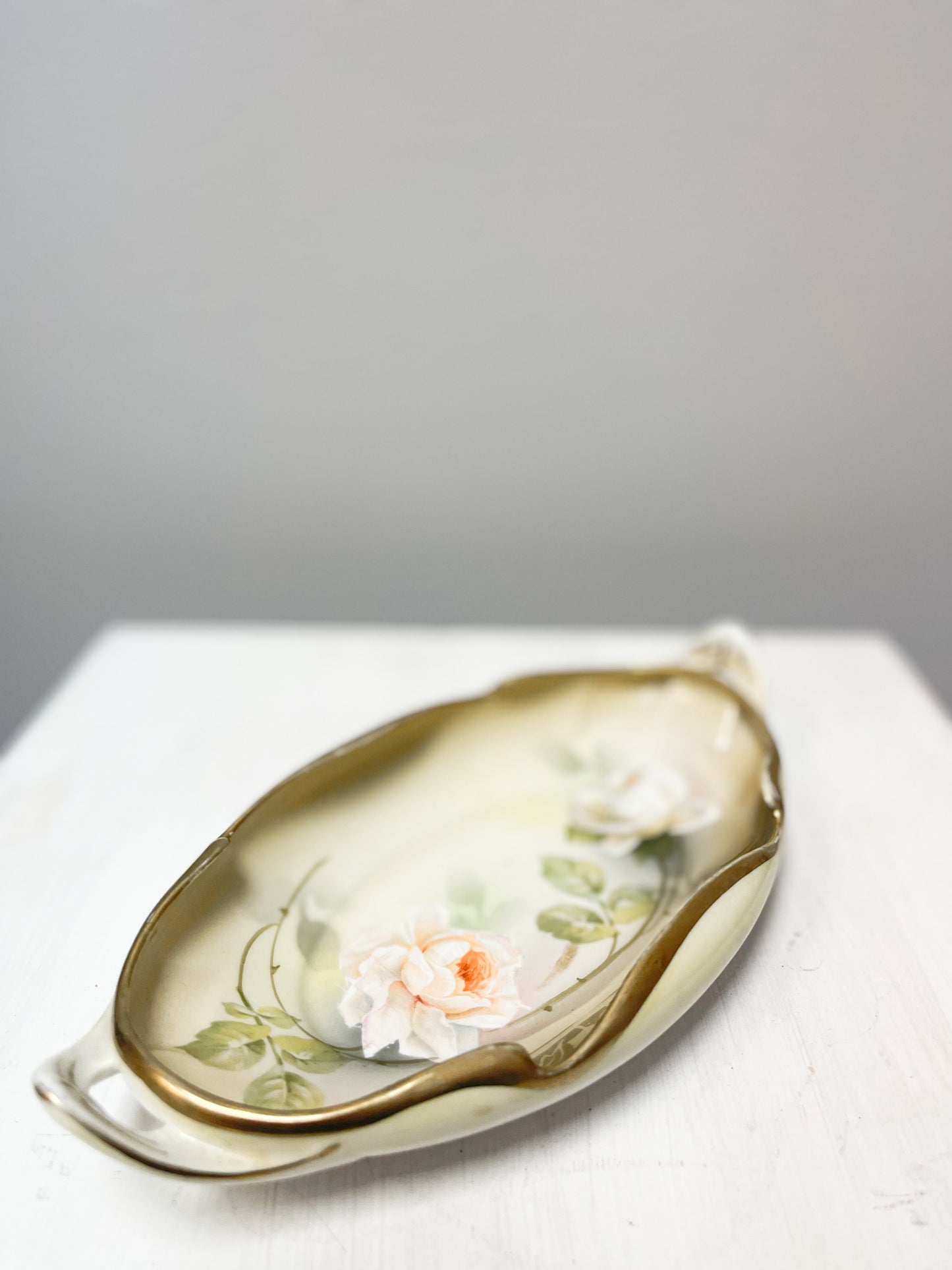 RS Germany porcelain dish