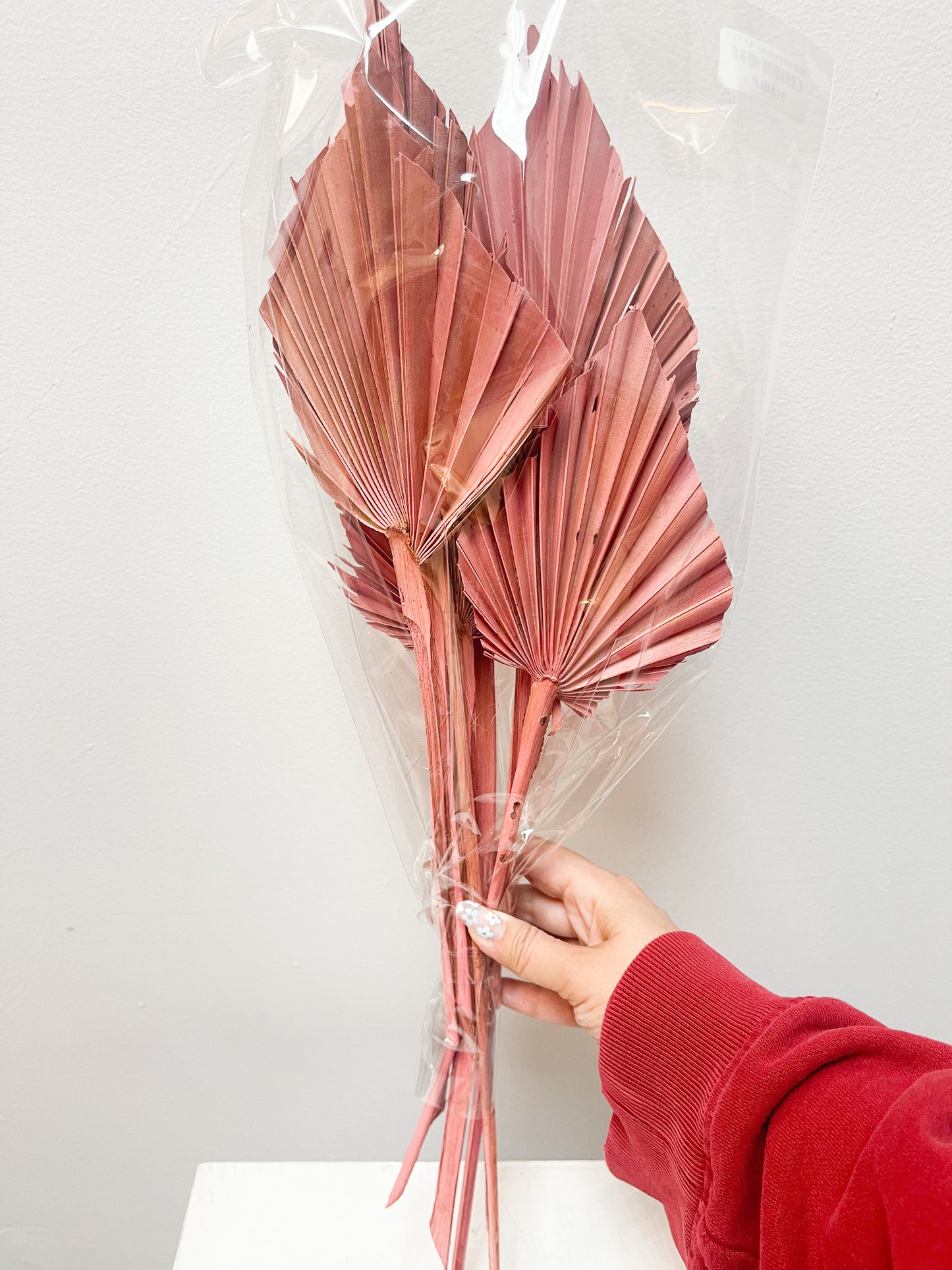 Pink Palm Spears