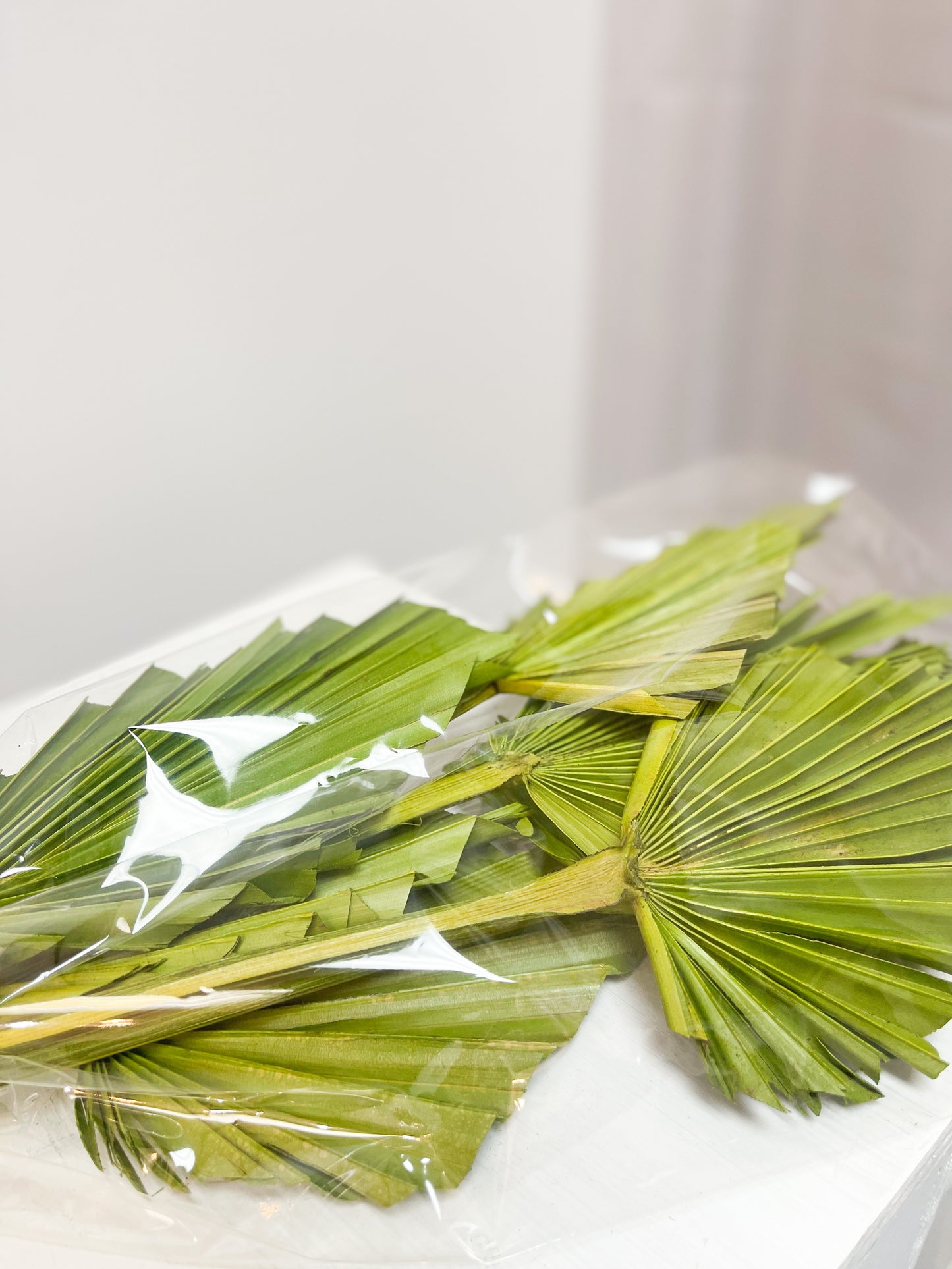 Green Palm Spears