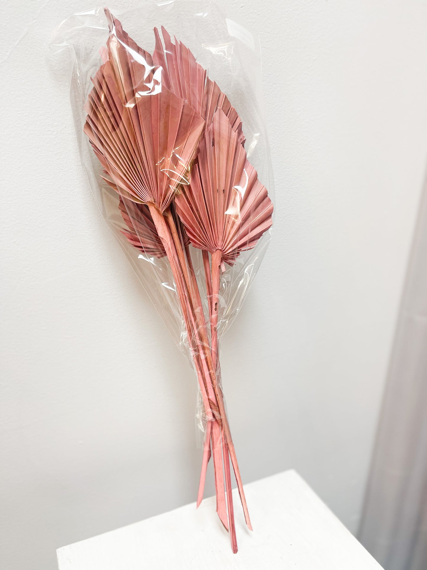 Pink Palm Spears