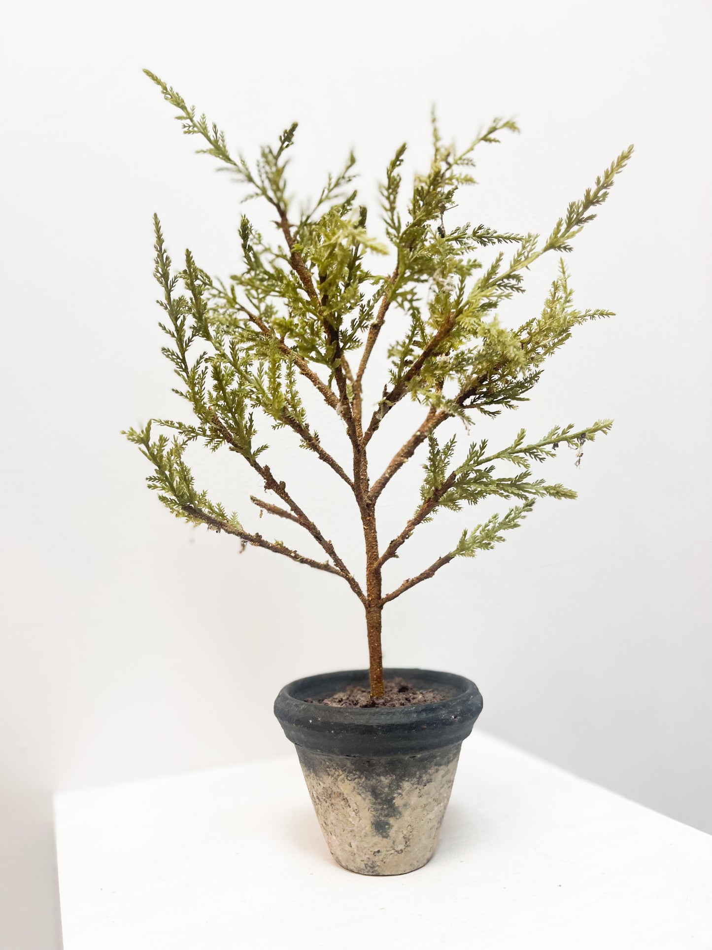 Bendable Mini Trees