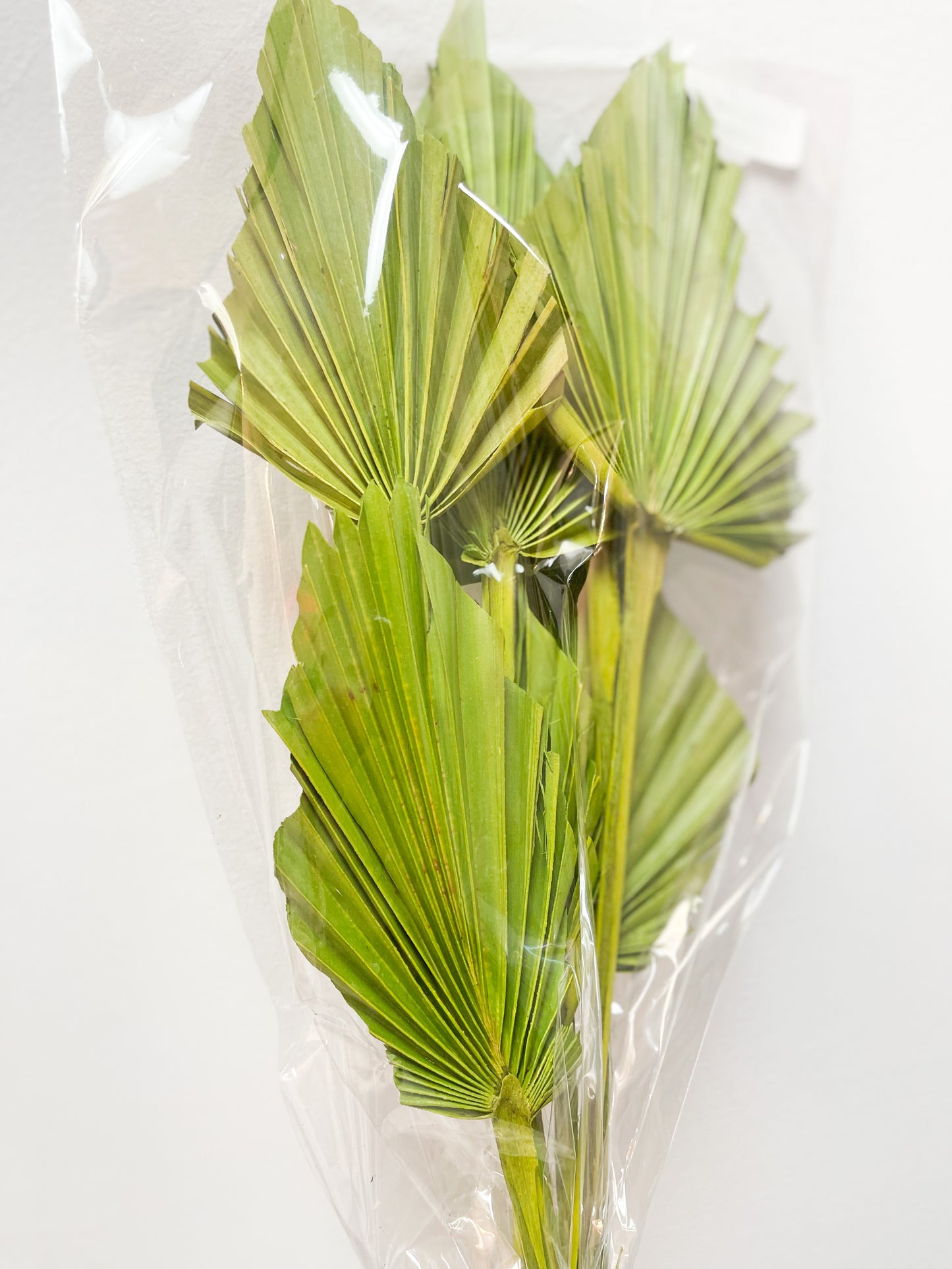 Green Palm Spears