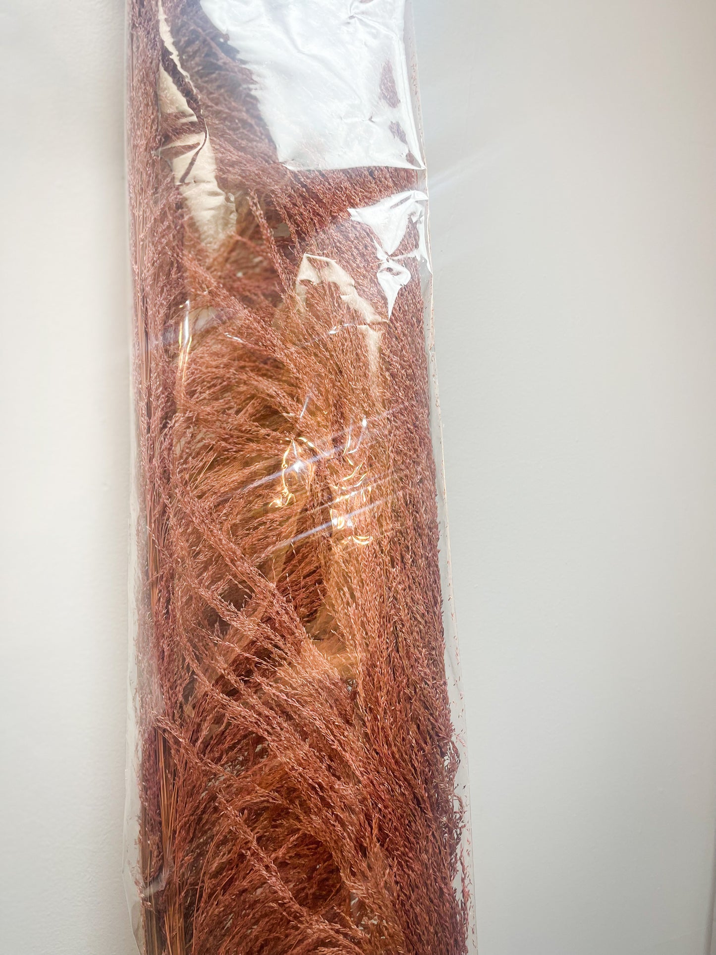 6-8ft Dusty Rose Pampas Pack