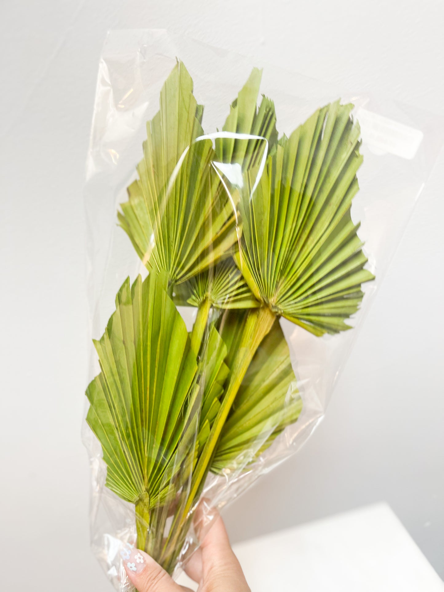 Green Palm Spears