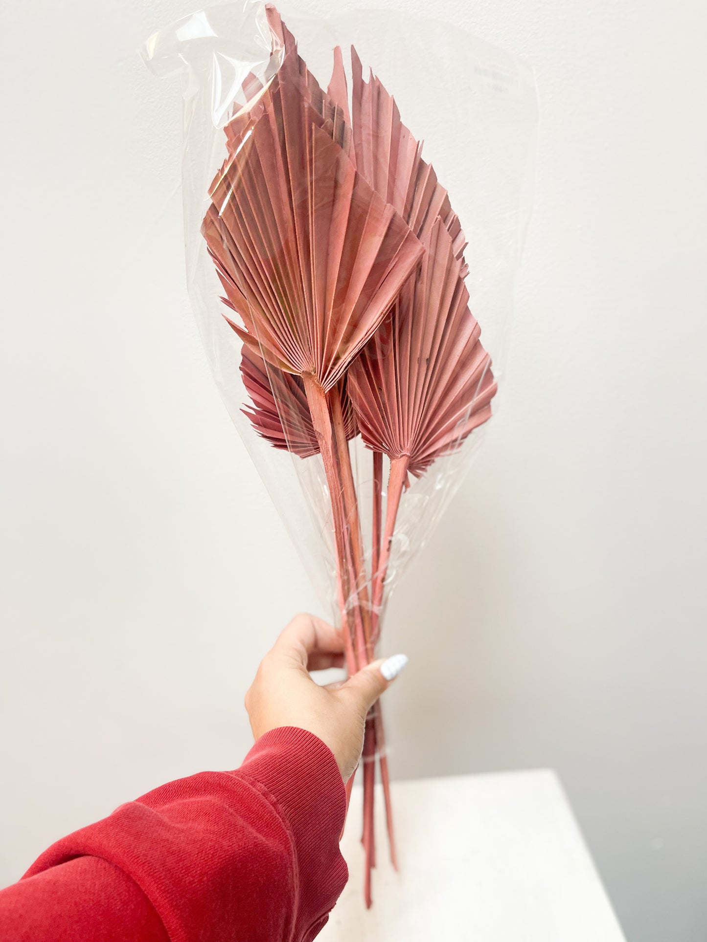 Pink Palm Spears