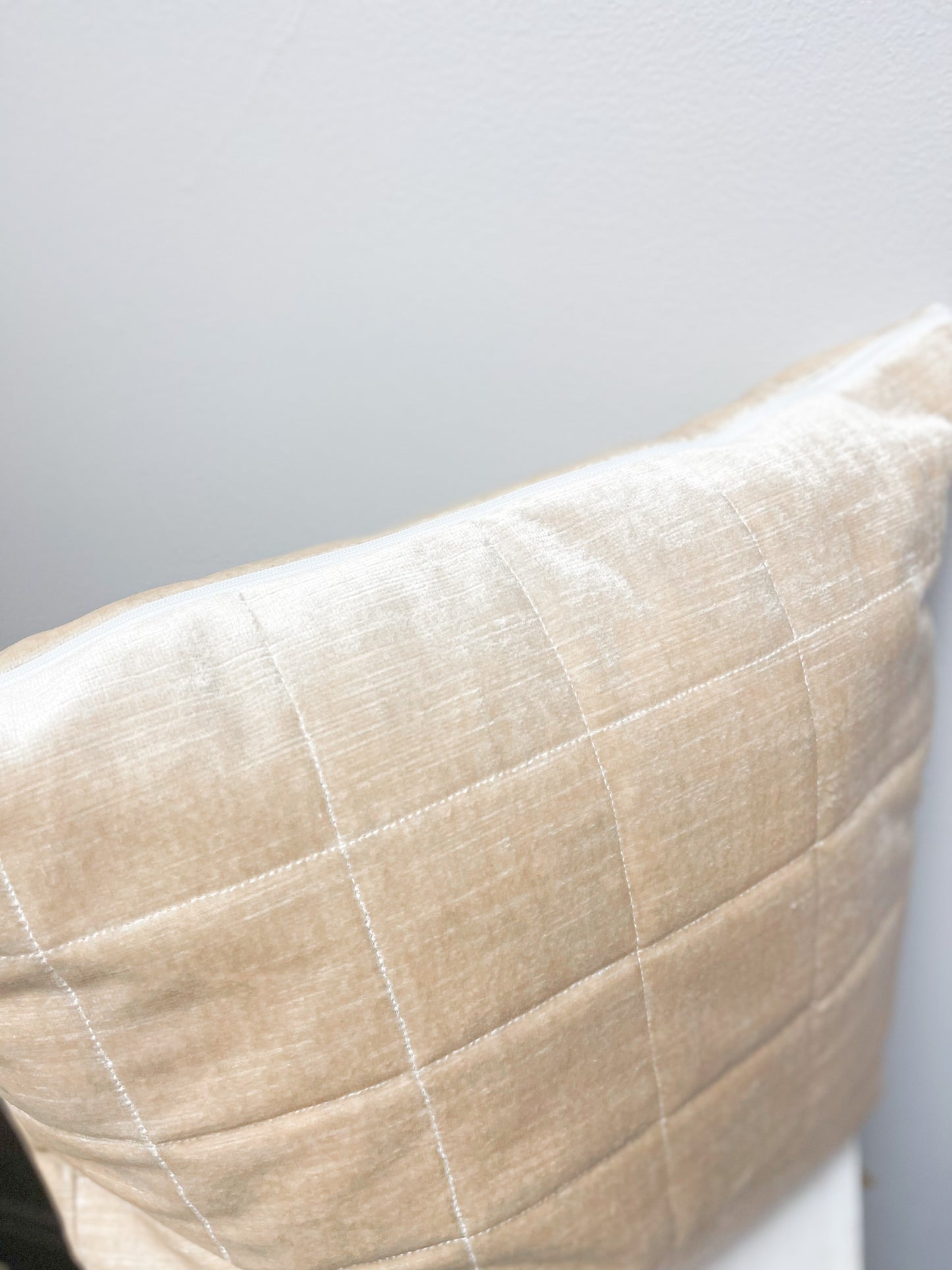 Textured Accent Pillow - Neutral