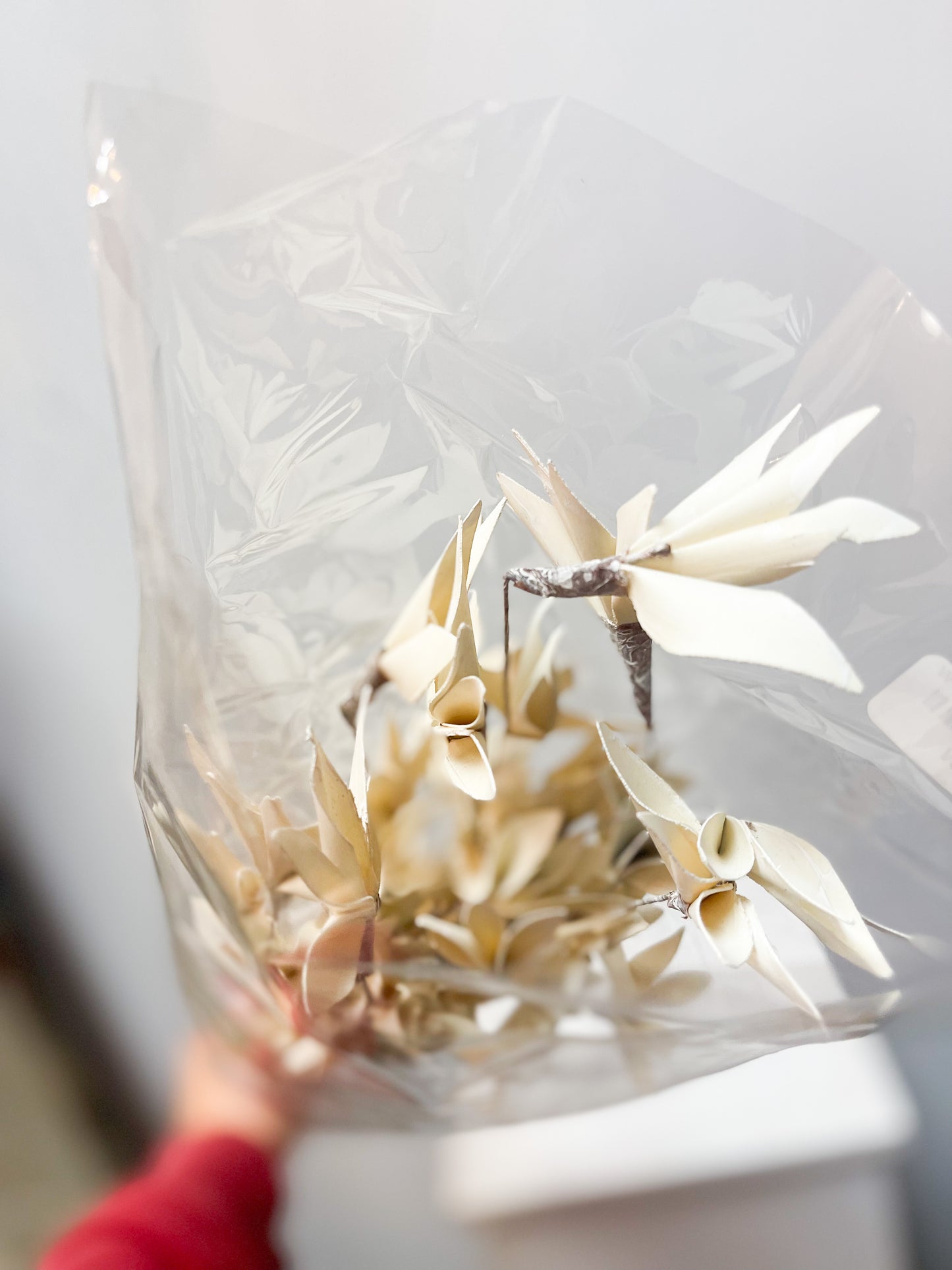 Neutral Palm Peacock Flowers